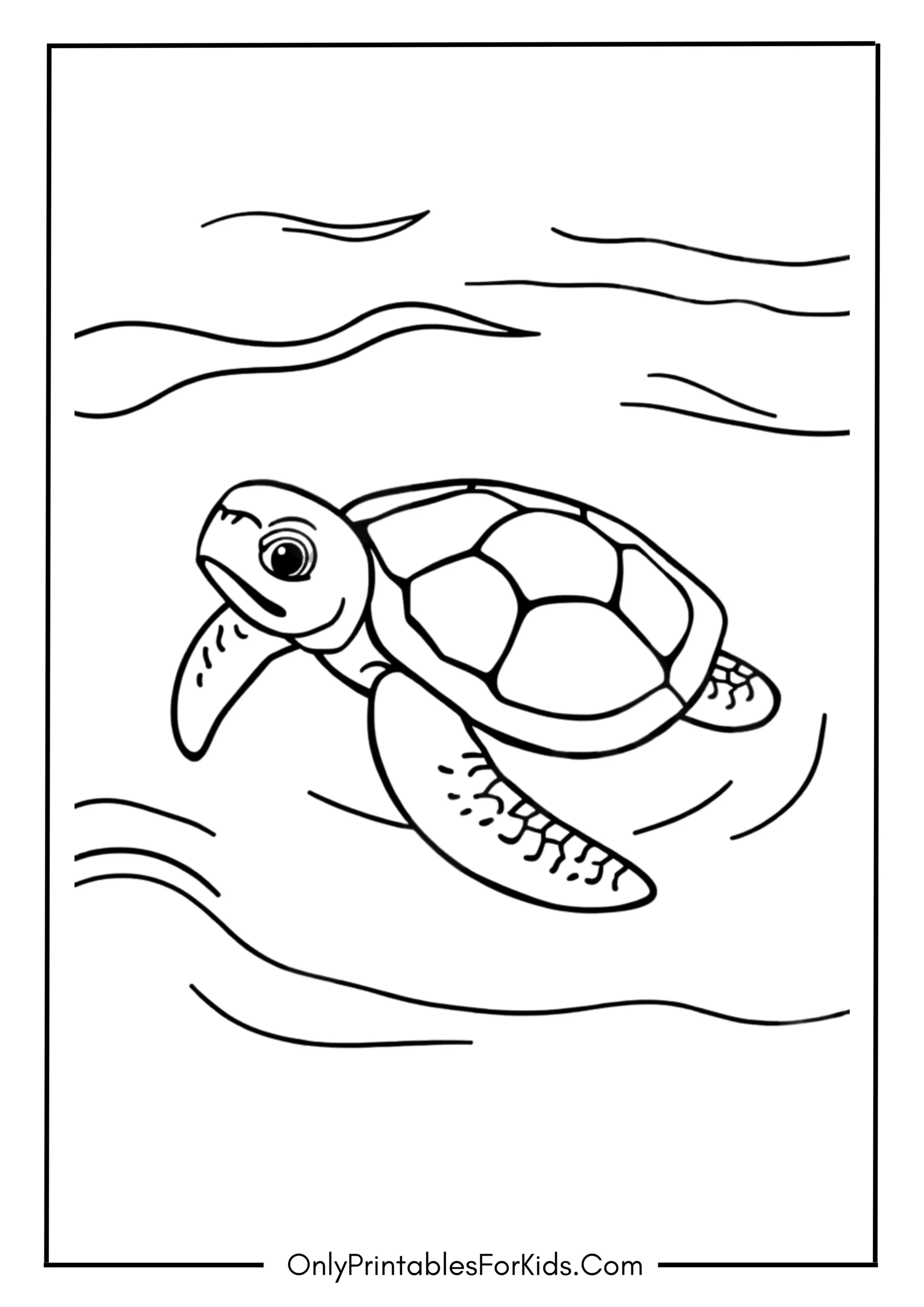 Baby Sea Turtle in Shallow Waters