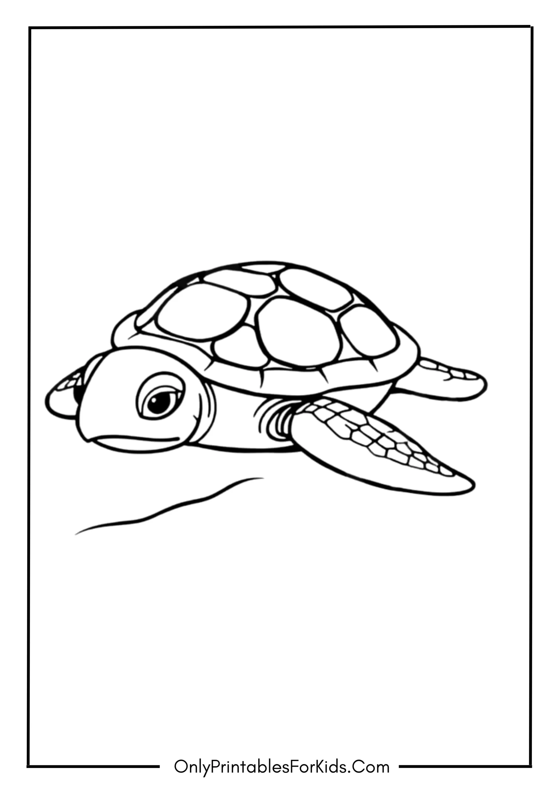 Baby Sea Turtle on a Sandy Beach