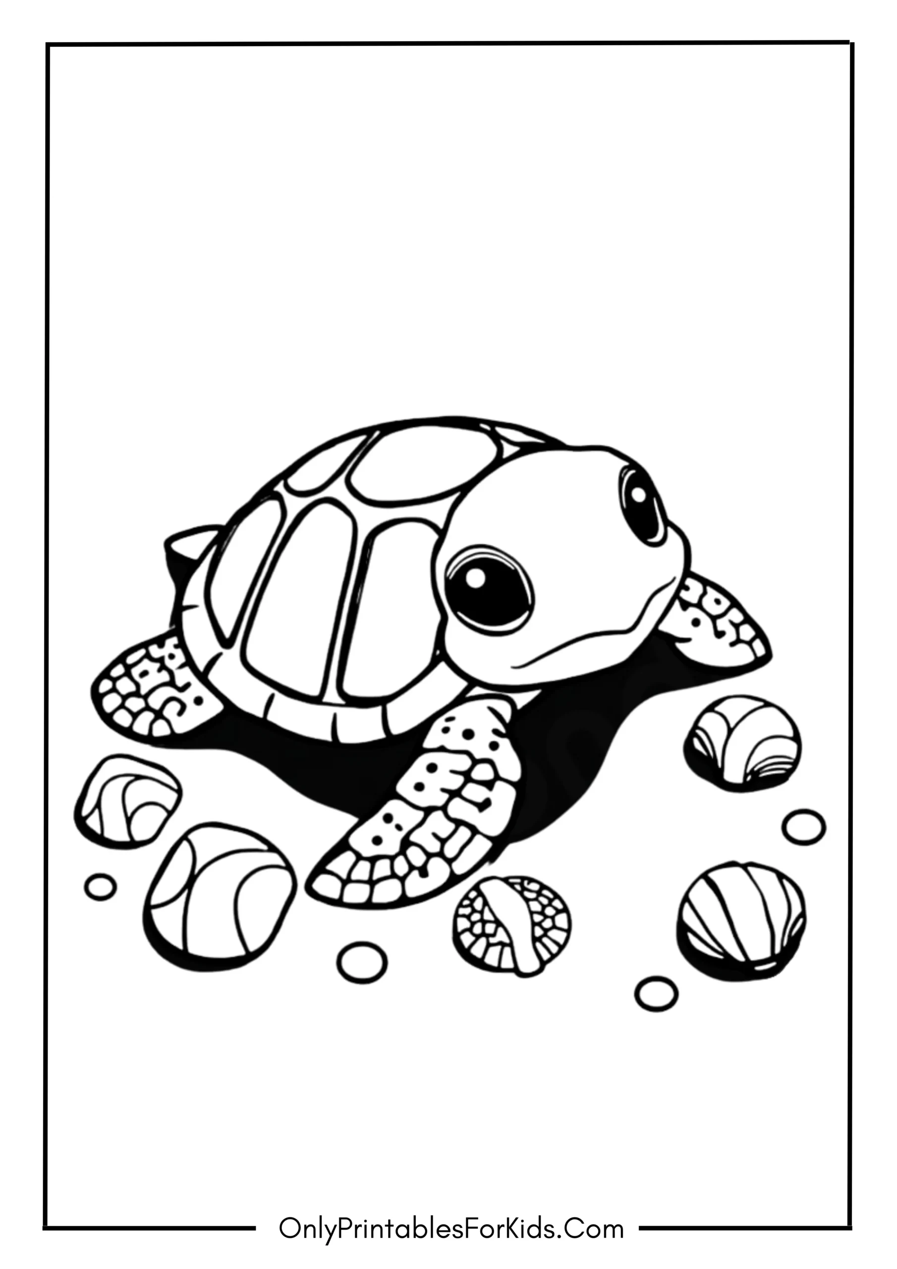 Baby Turtle and Seashells Adventure