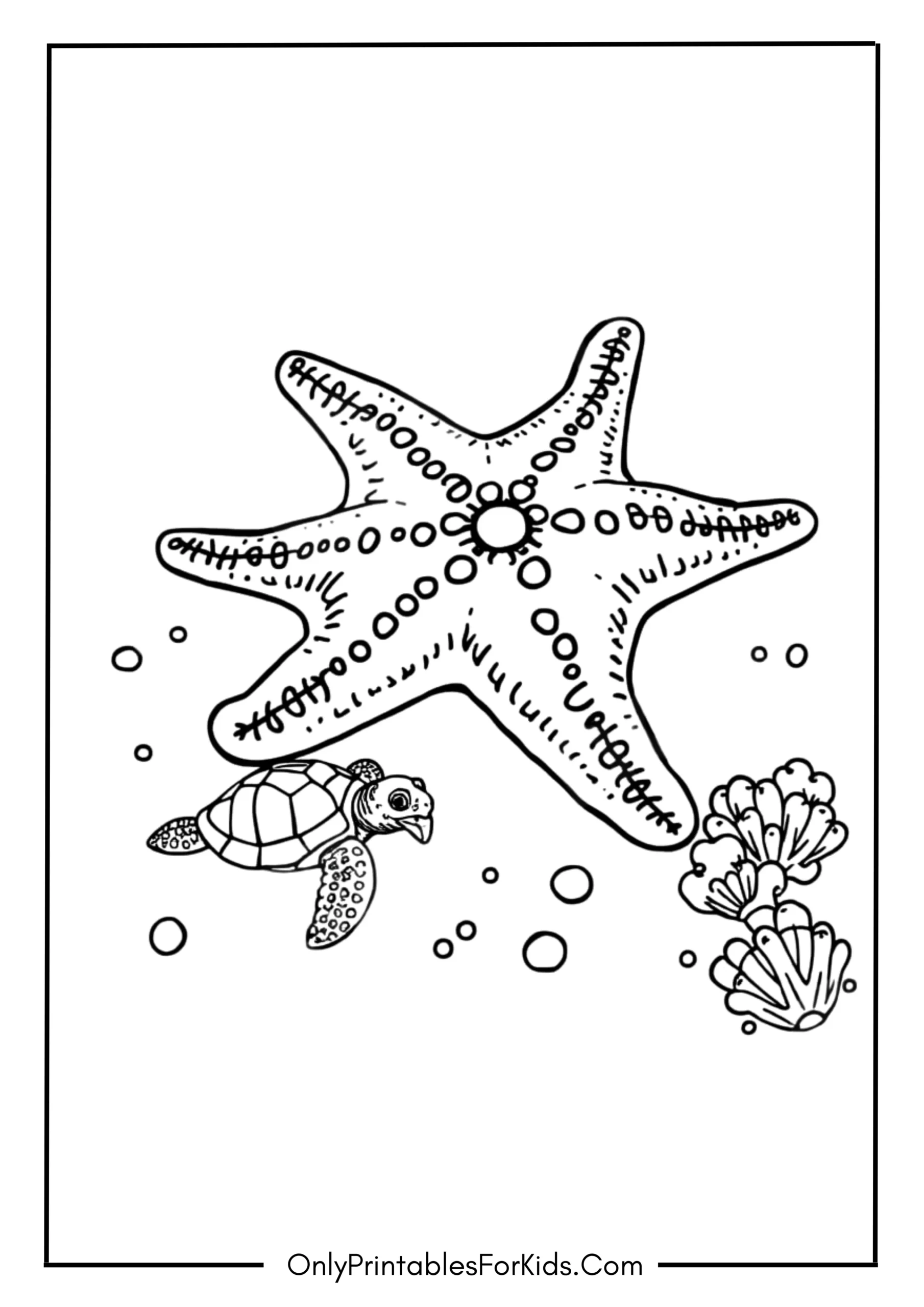 Baby Turtle and a Big Starfish