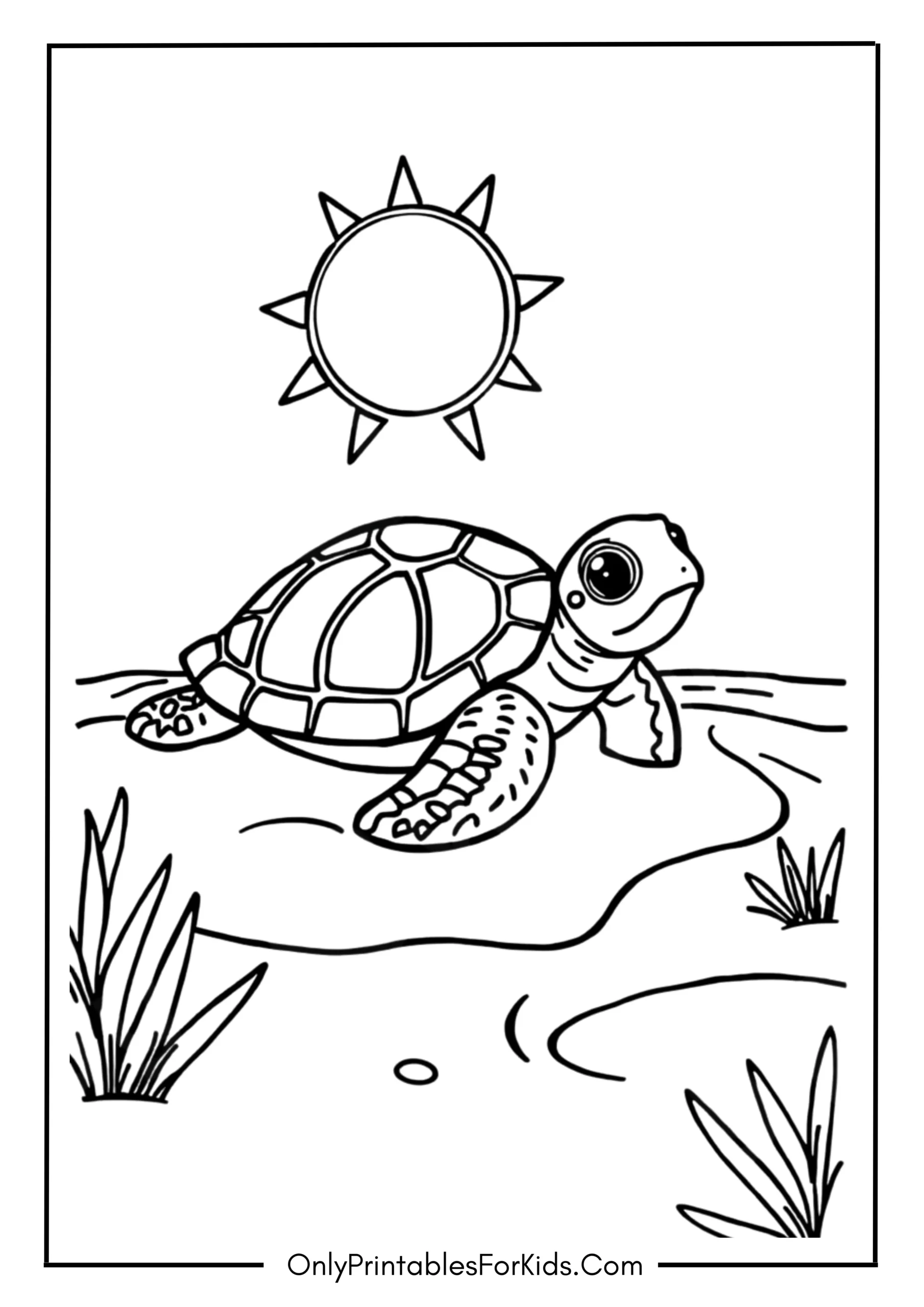 Baby Turtle on a Sunny Shore