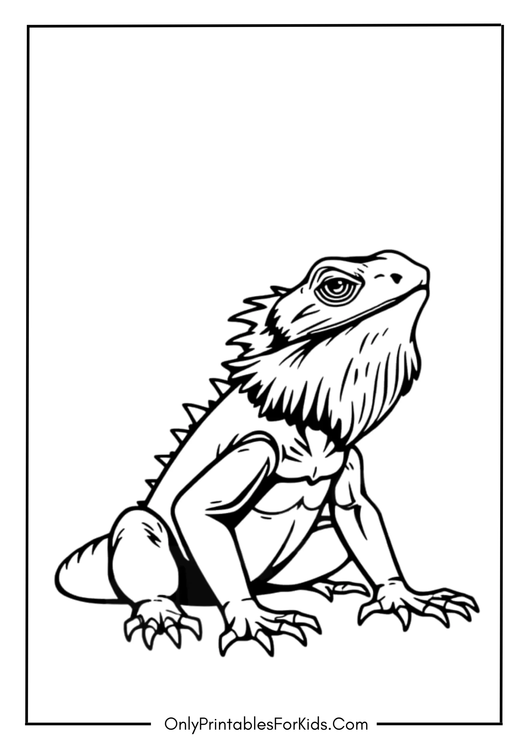 Bearded Dragon Coloring Page