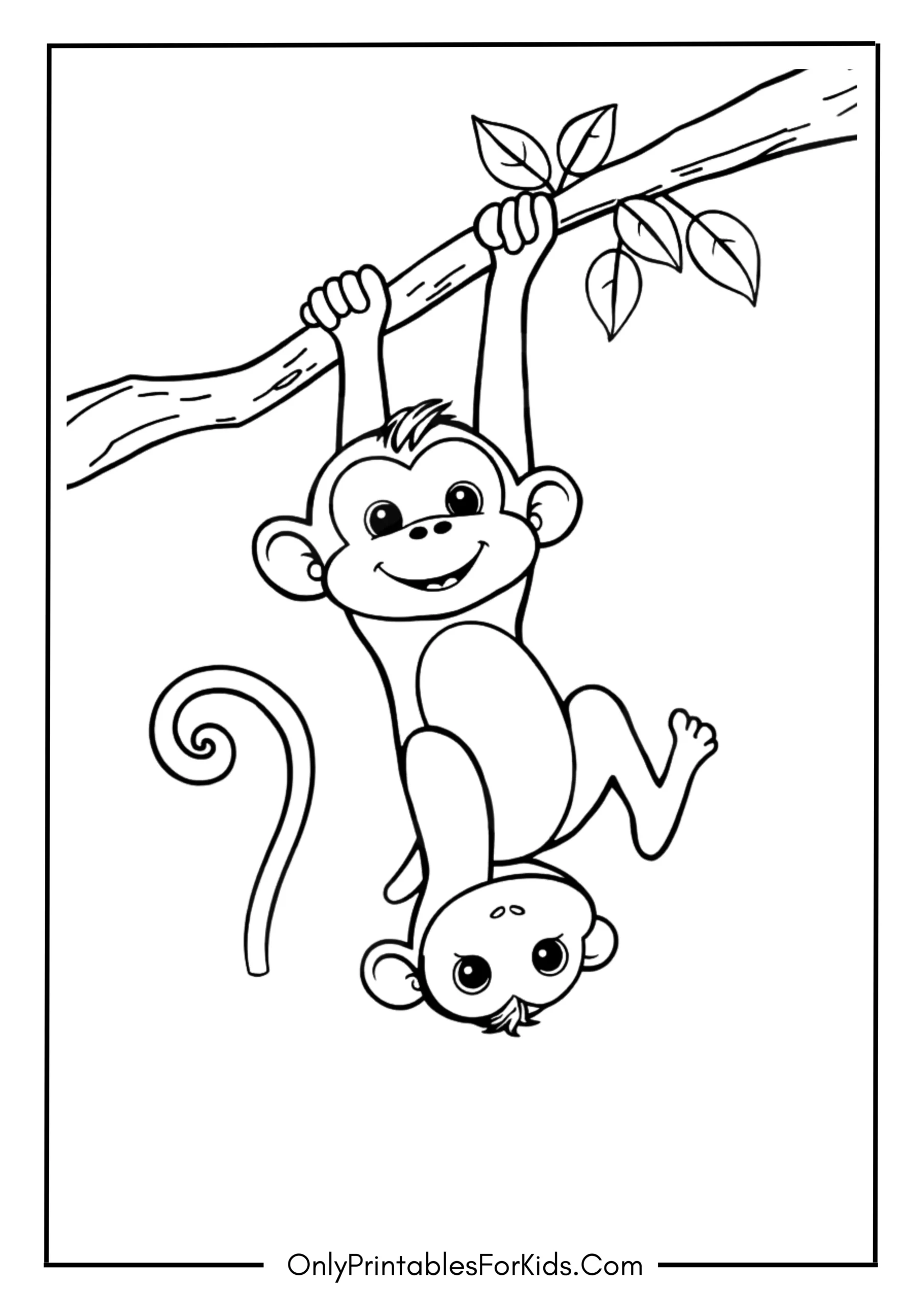 Cute Monkey Hanging from a Tree Branch