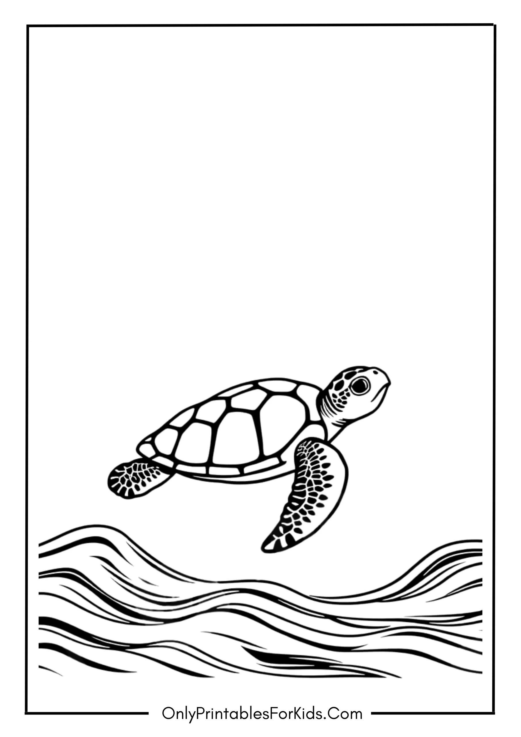 Cute Realistic Turtle Floating in the Ocean