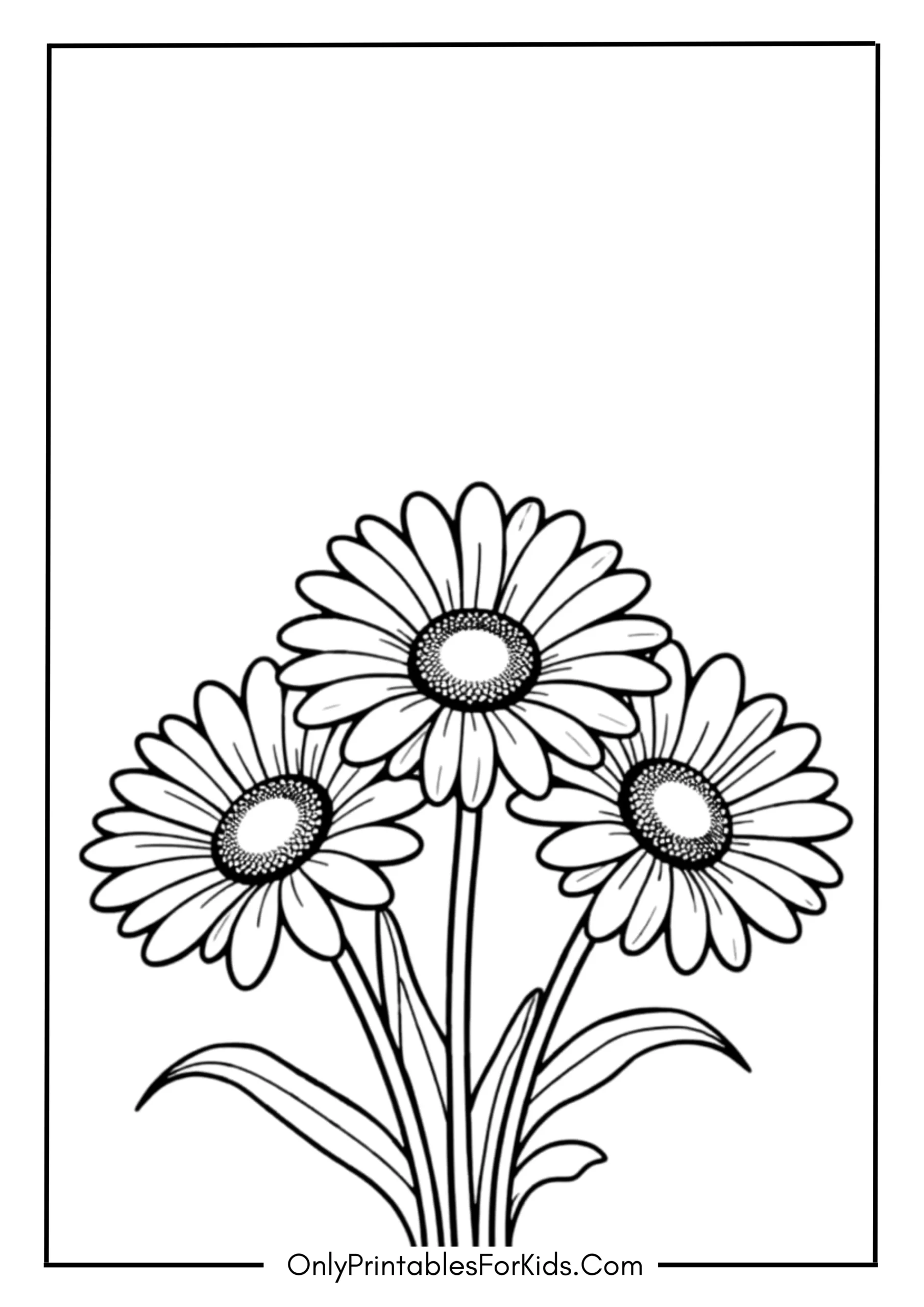 Daisy Field with Three Flowers