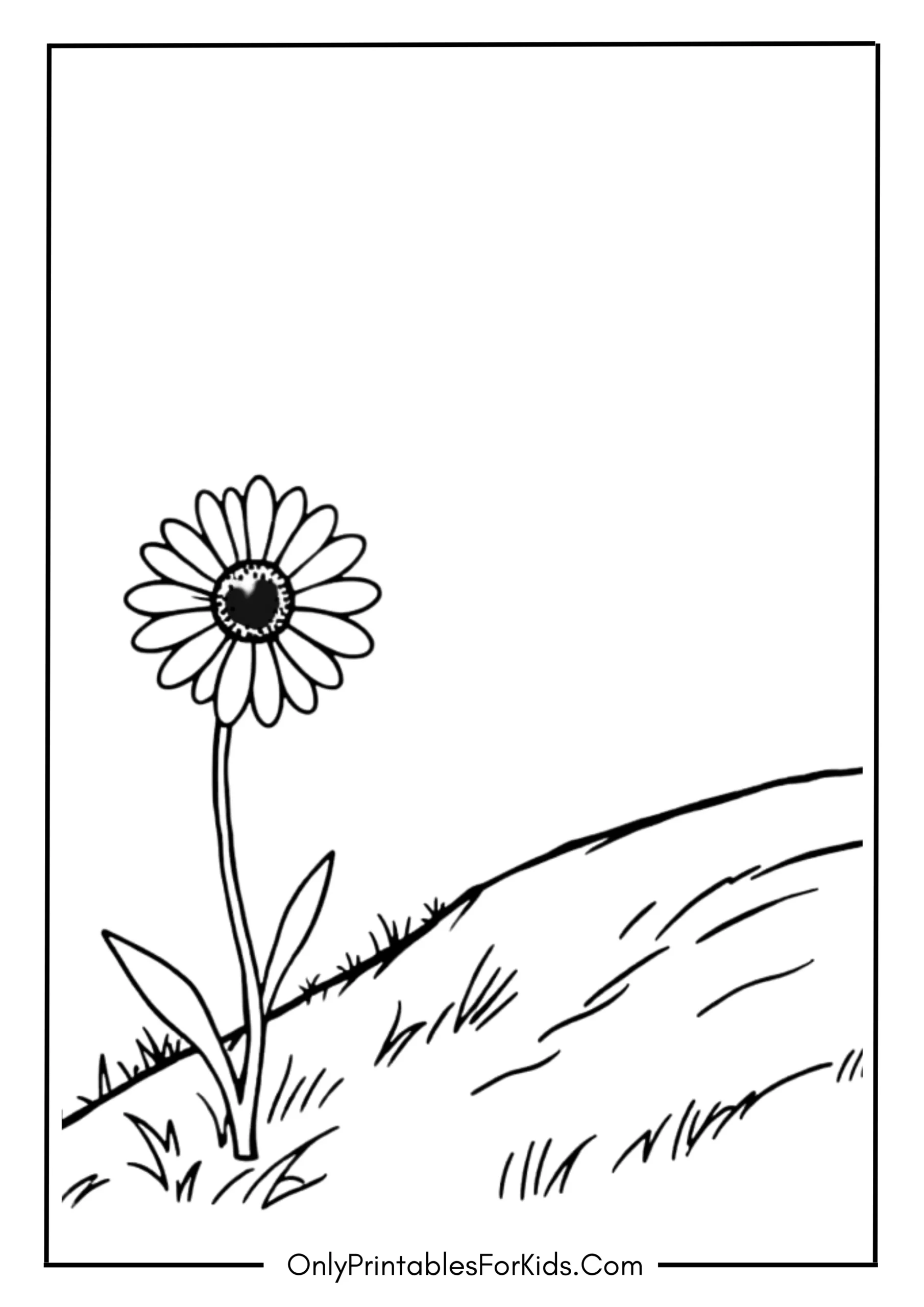 Daisy Sitting on a Hill