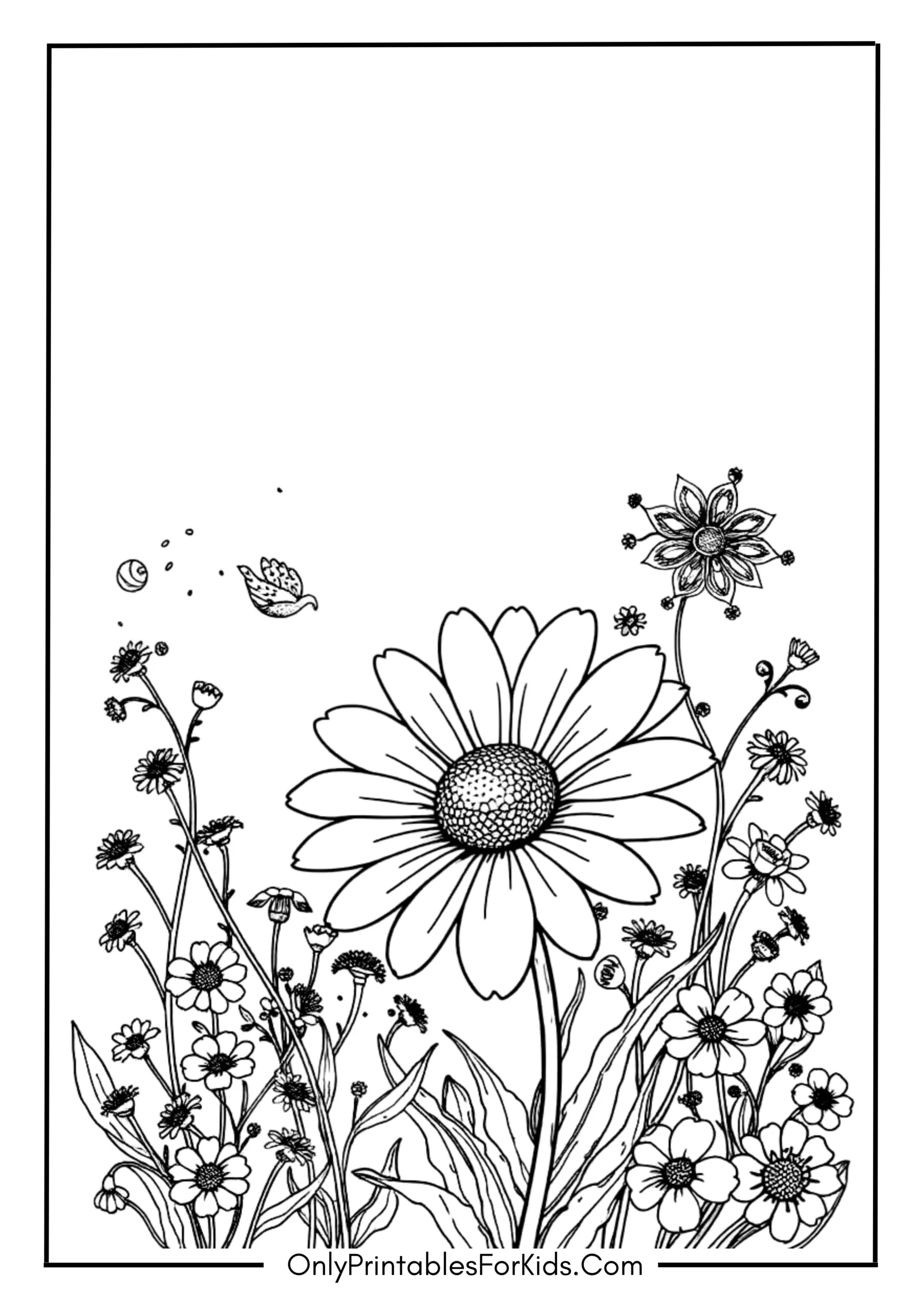 Daisy in a Garden with Tiny Flowers