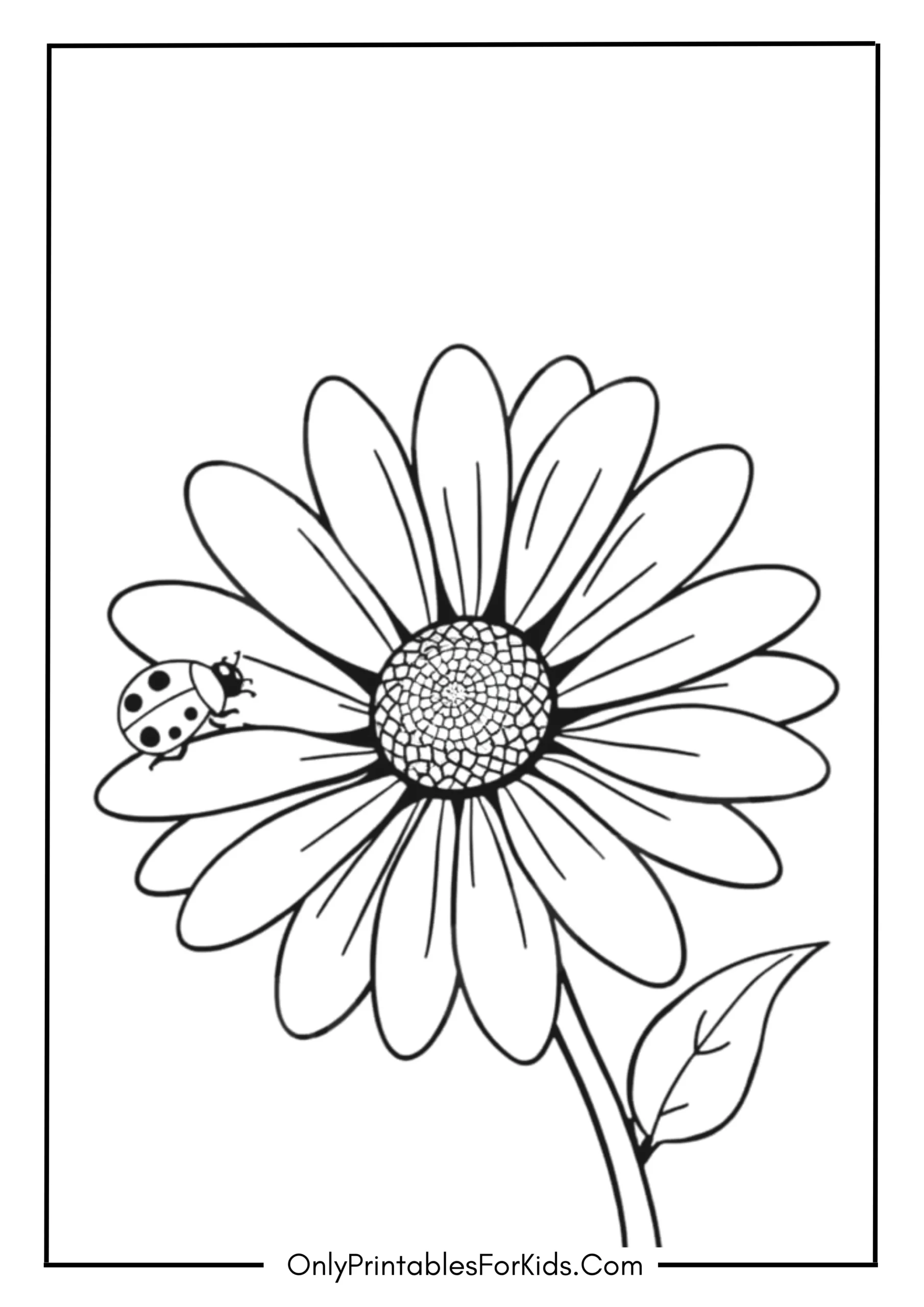 Daisy with a Ladybug on Its Leaf