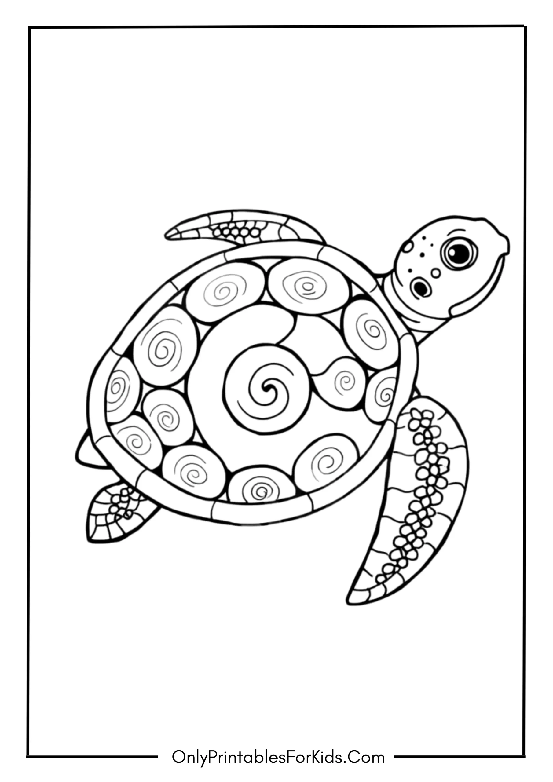 Detailed Sea Turtle with Spiral Patterns