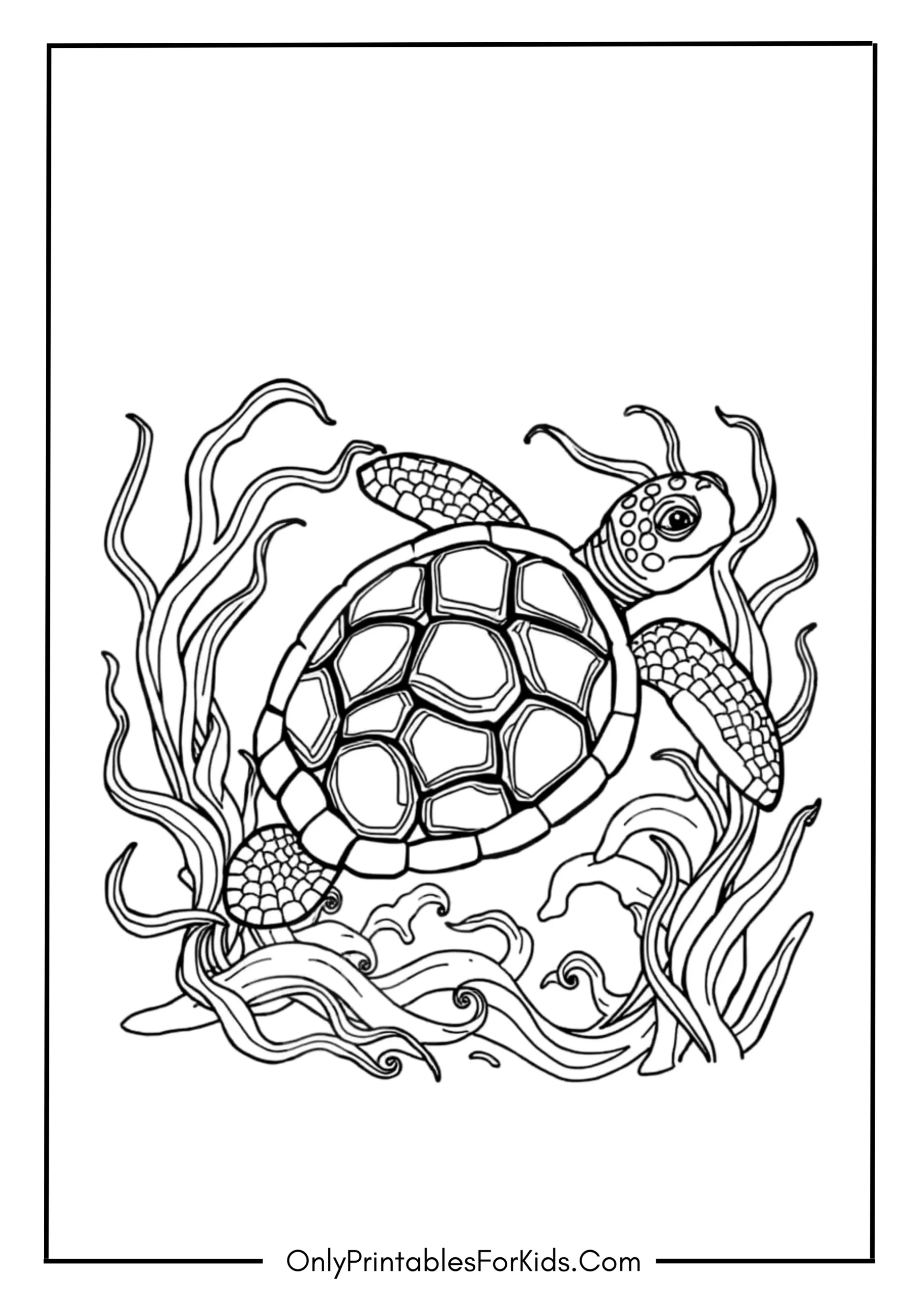 Detailed Turtle with Ocean Background