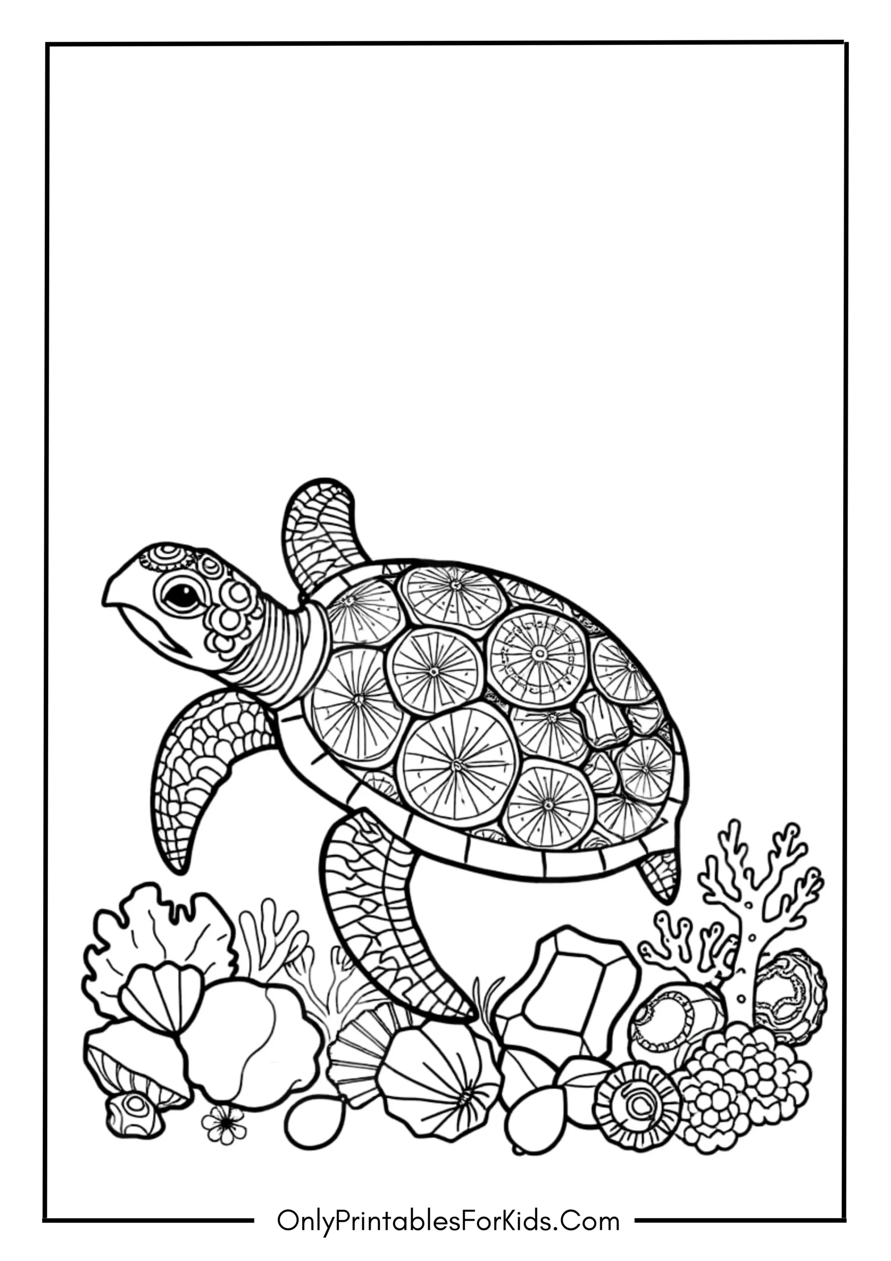 Detailed Turtle with Ocean Treasures