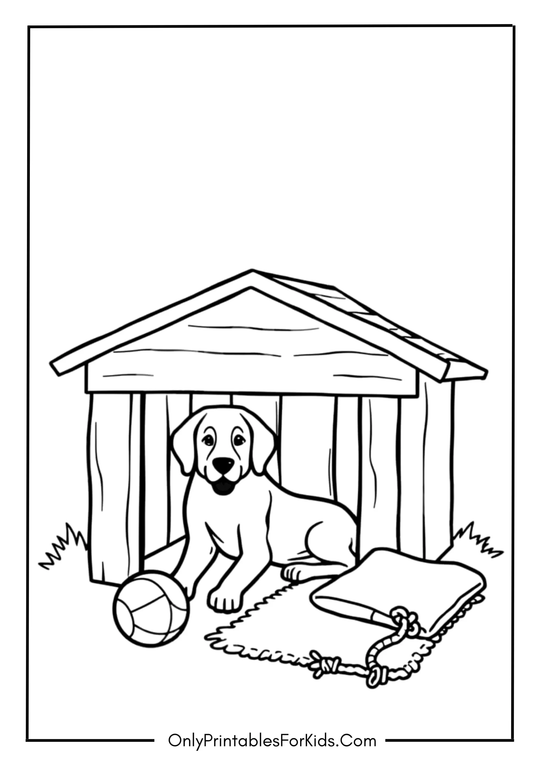 Dog Kennel with Toys scaled