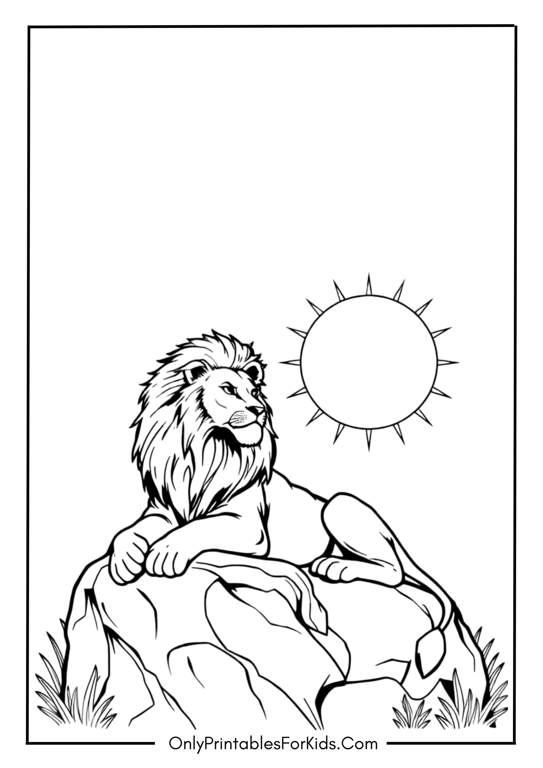 Female Lion Sunbathing On A Warm Rock