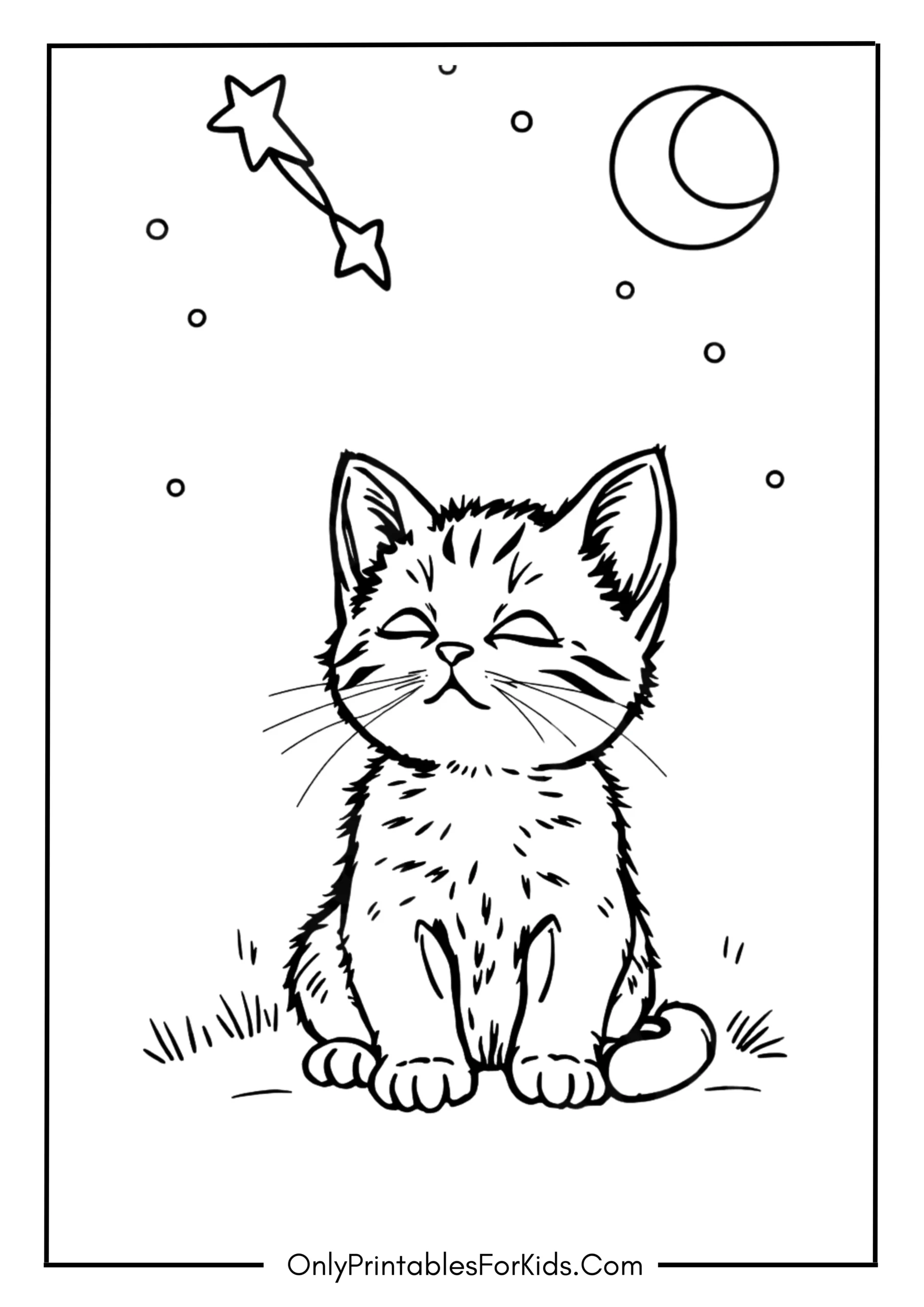 Kitten Watching a Shooting Star