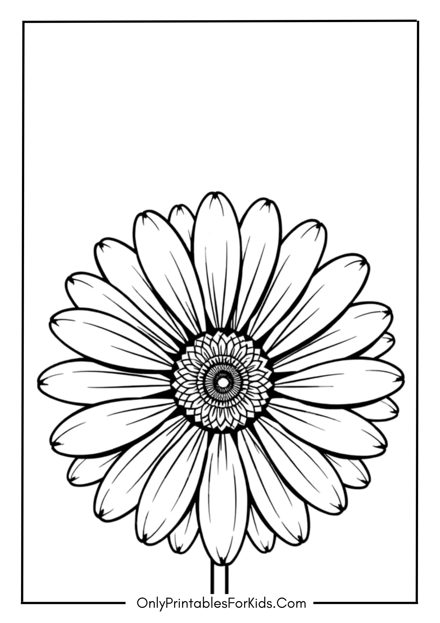 Large Daisy with Patterned Center