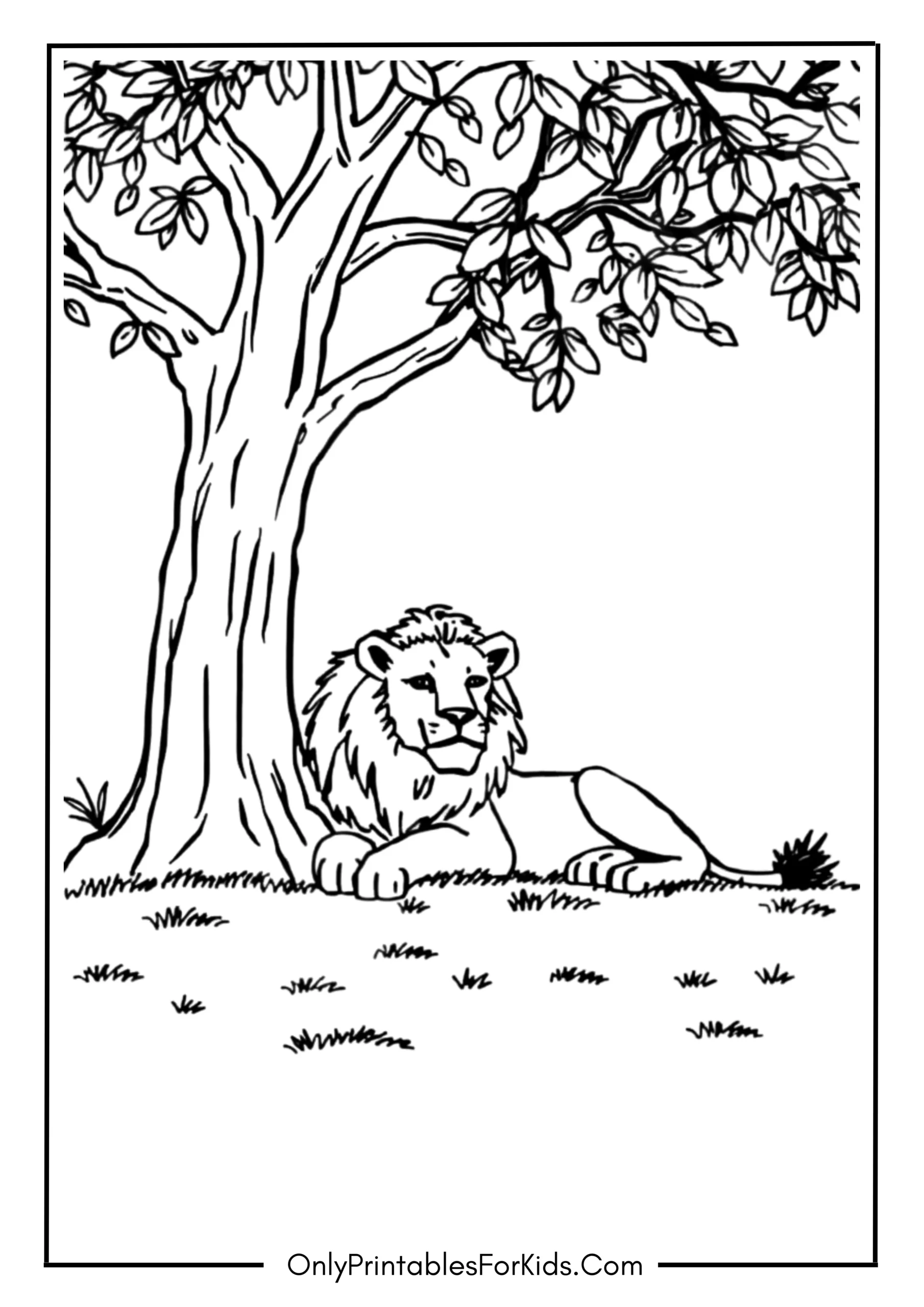 Lioness Lying Peacefully Under A Tree