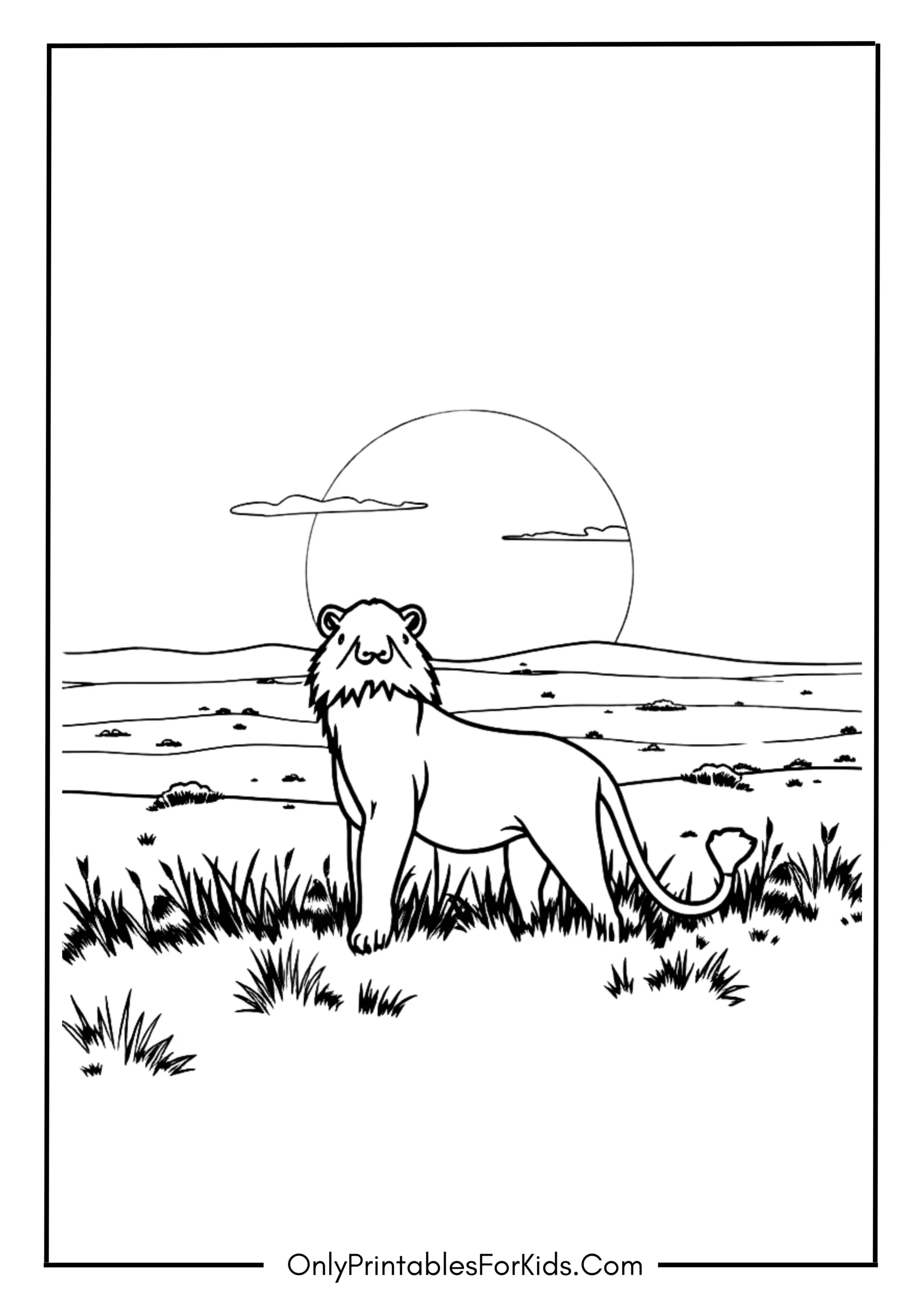 Lioness Watching The Sunset Over The Plains