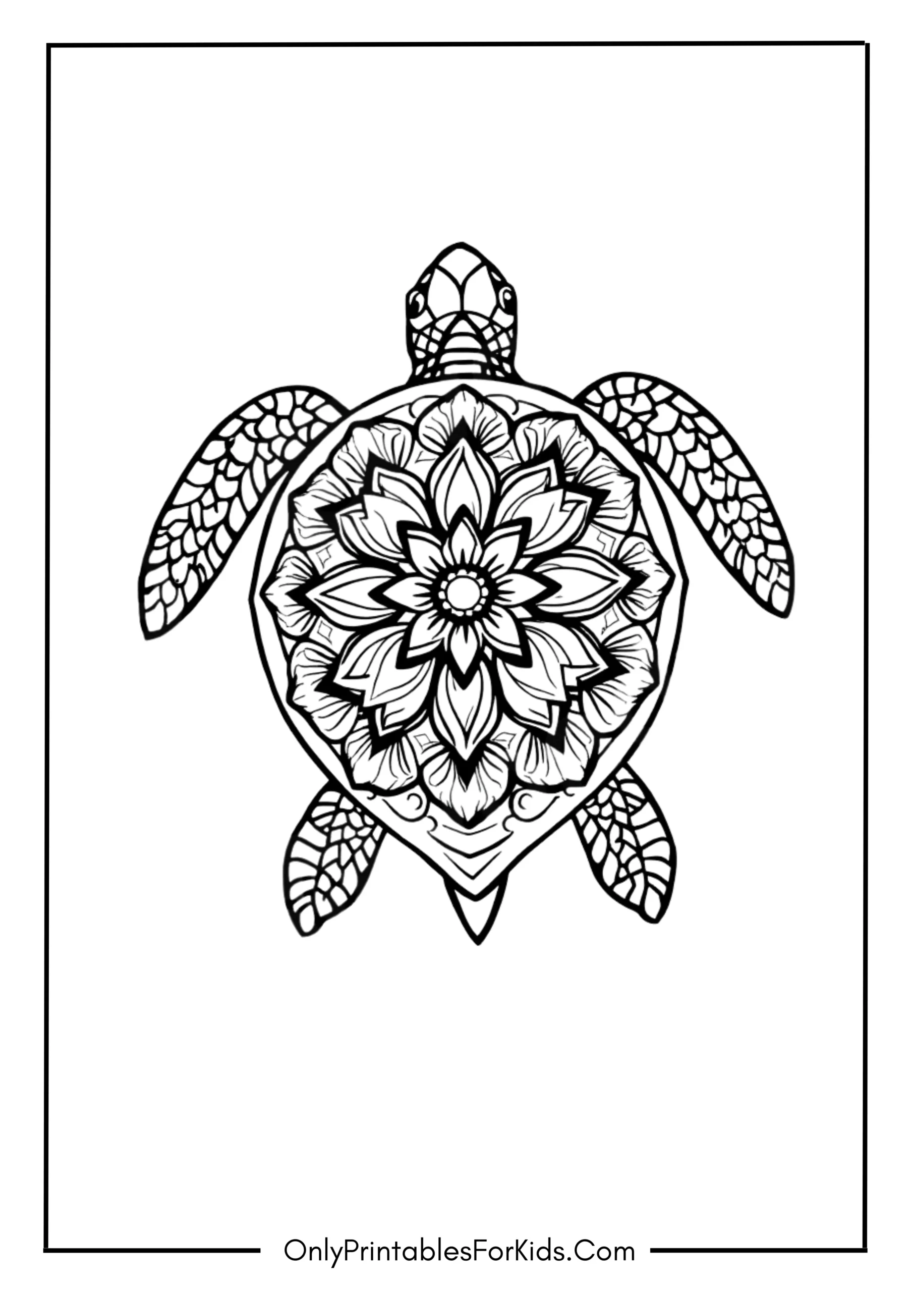 Mandala Sea Turtle with Floral Patterns