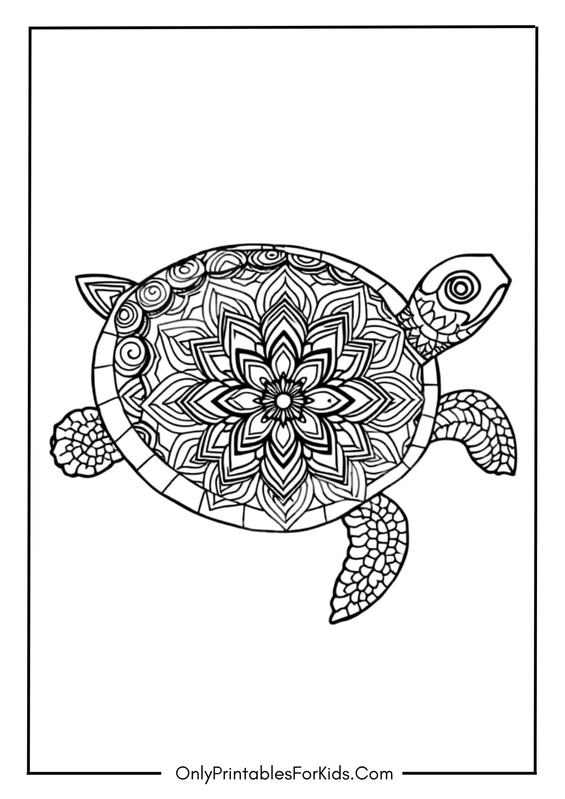 Mandala Turtle with Intricate Patterns