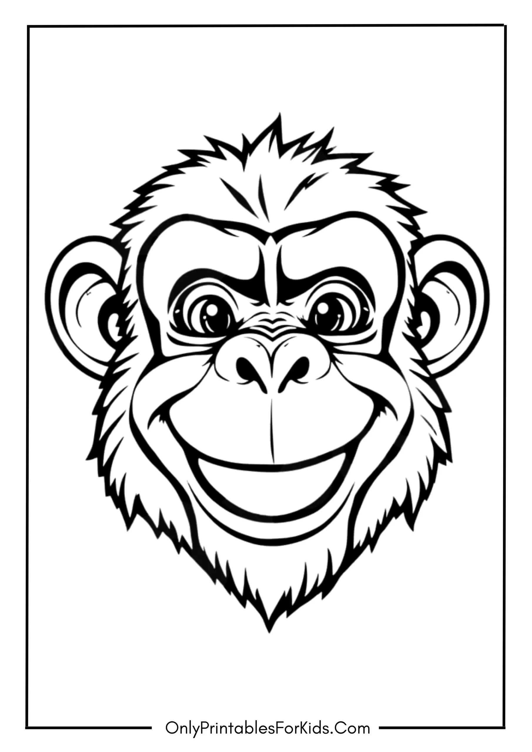 Monkey Head with a Silly Face