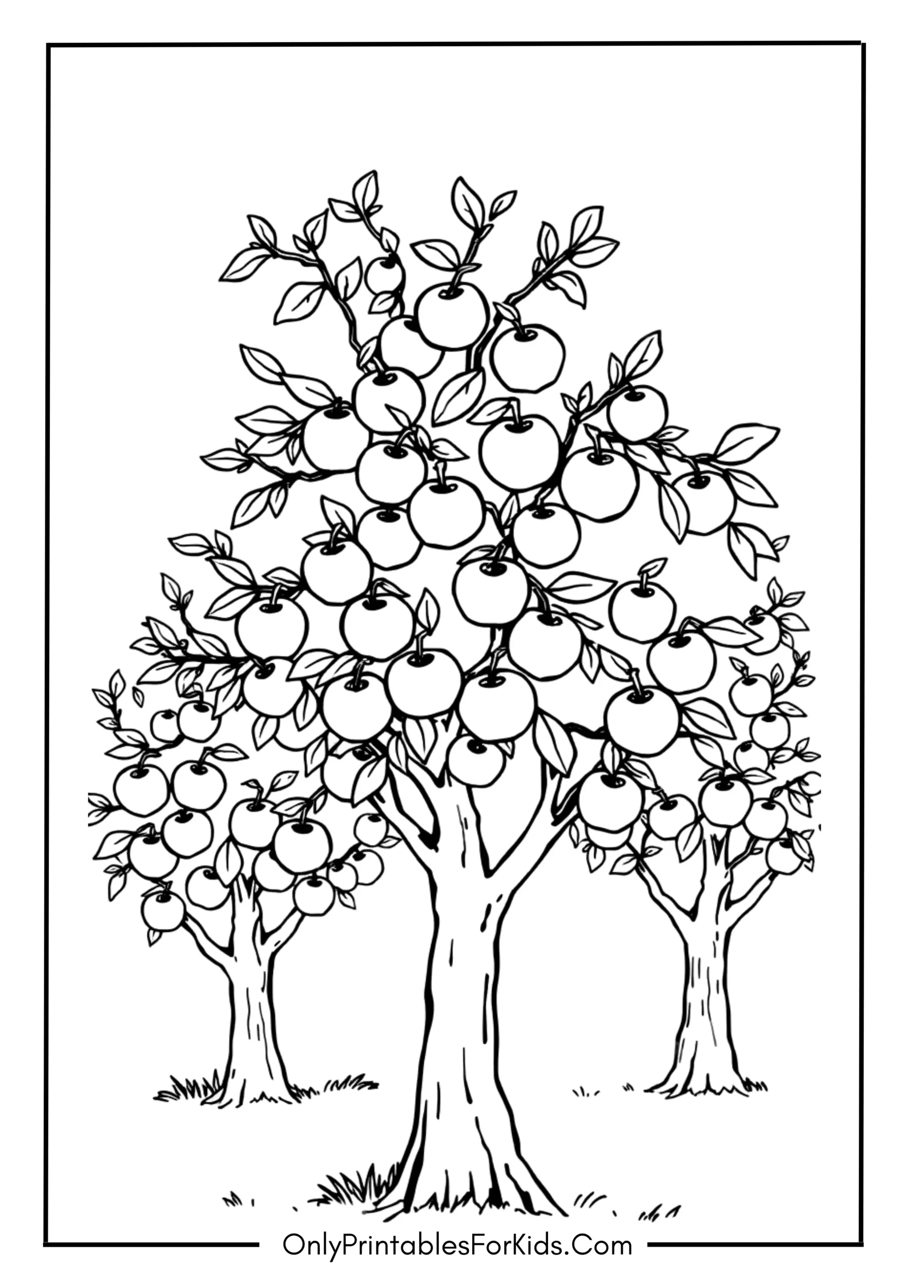 Outline of Apple Trees for Imaginative Play