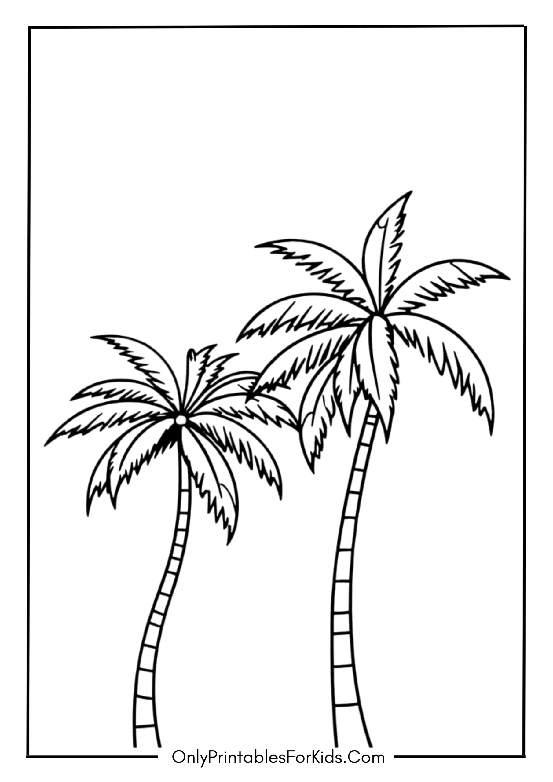 Palm Tree Silhouette