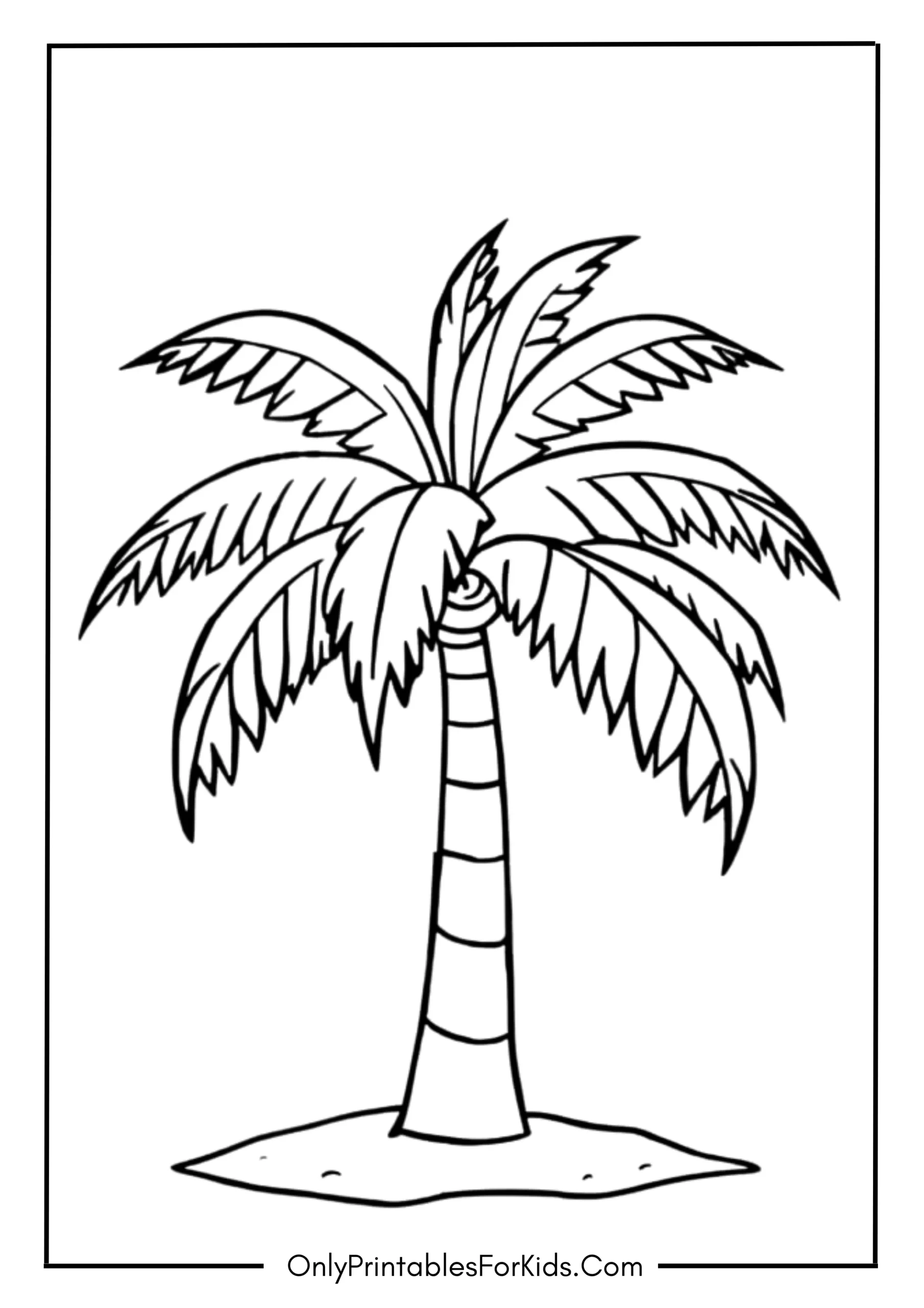 Palm Tree