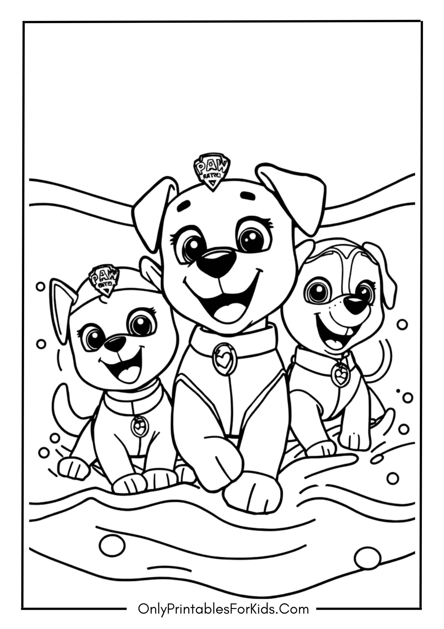 Paw Patrol Playing in Water