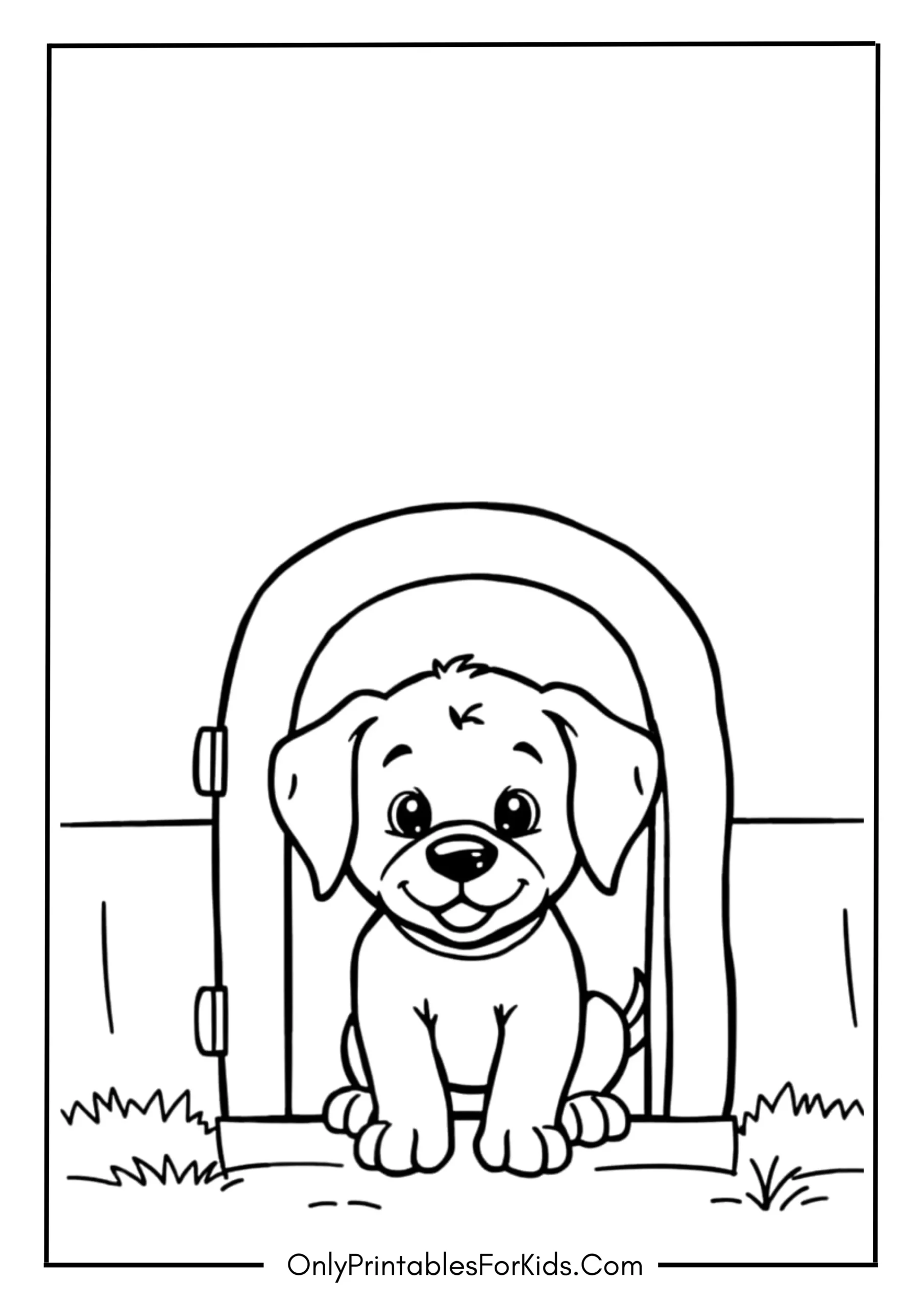 Playful Dog Peeking Out scaled