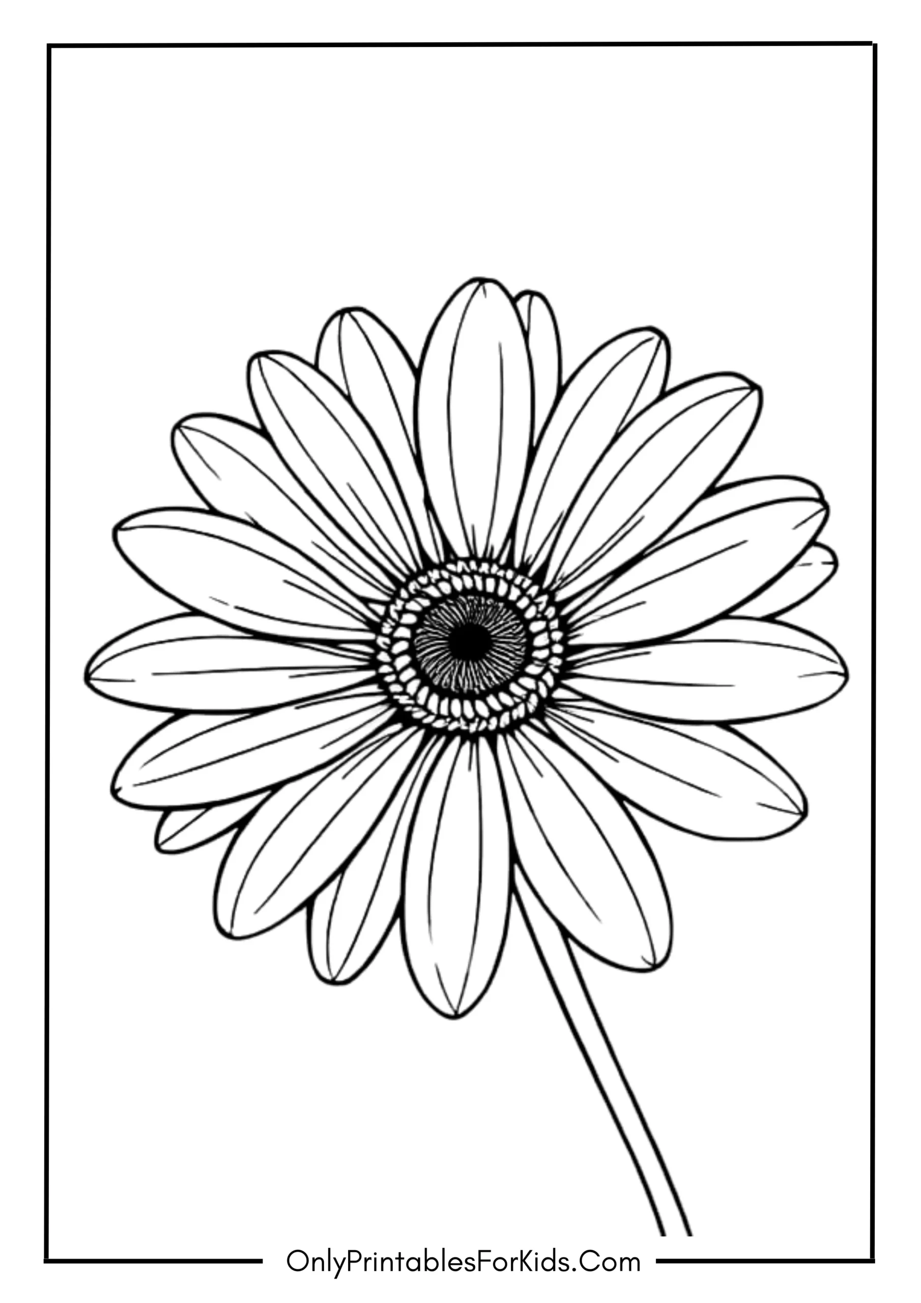Realistic Daisy with Shading Details