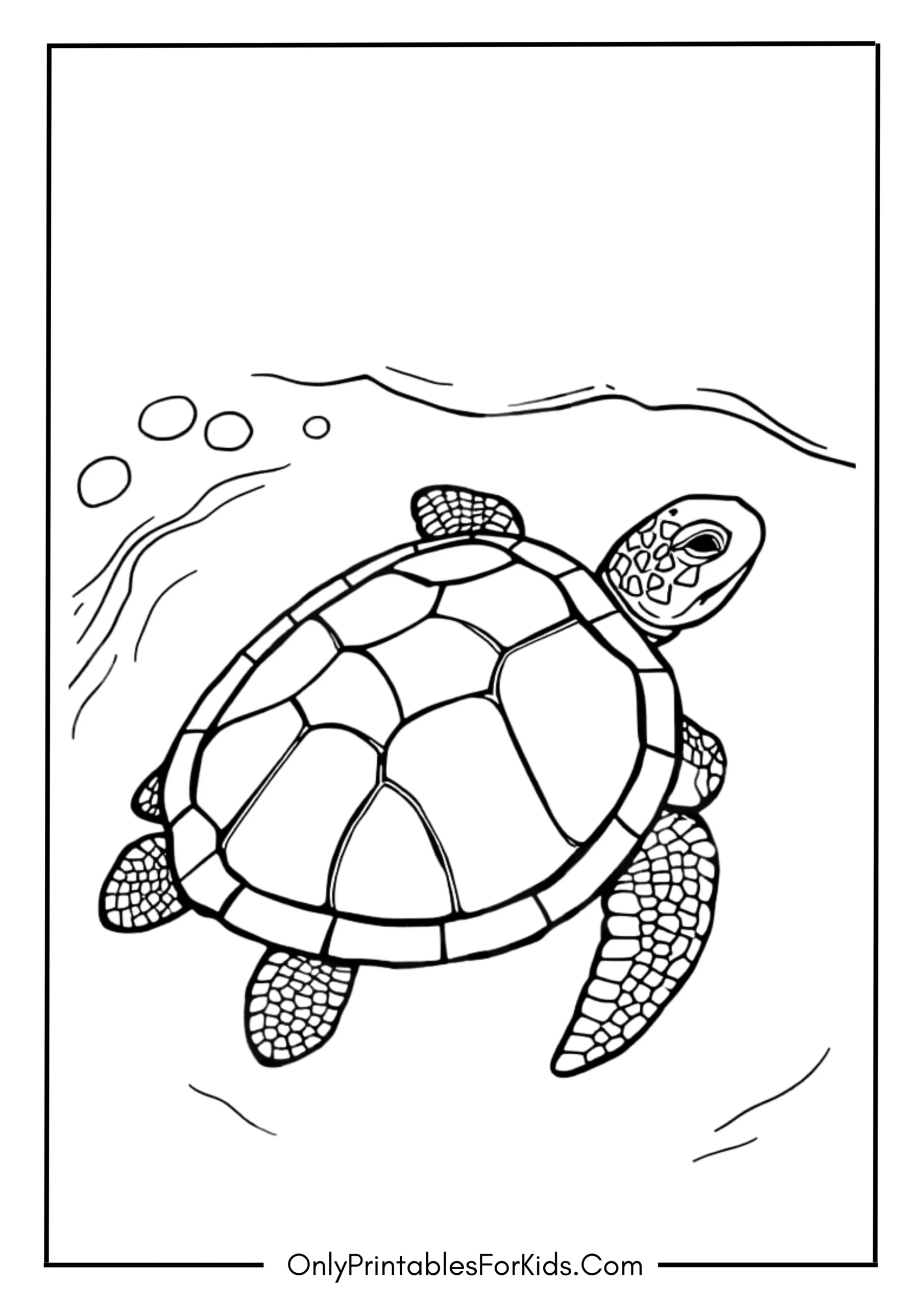 Realistic Turtle Gliding Through Water