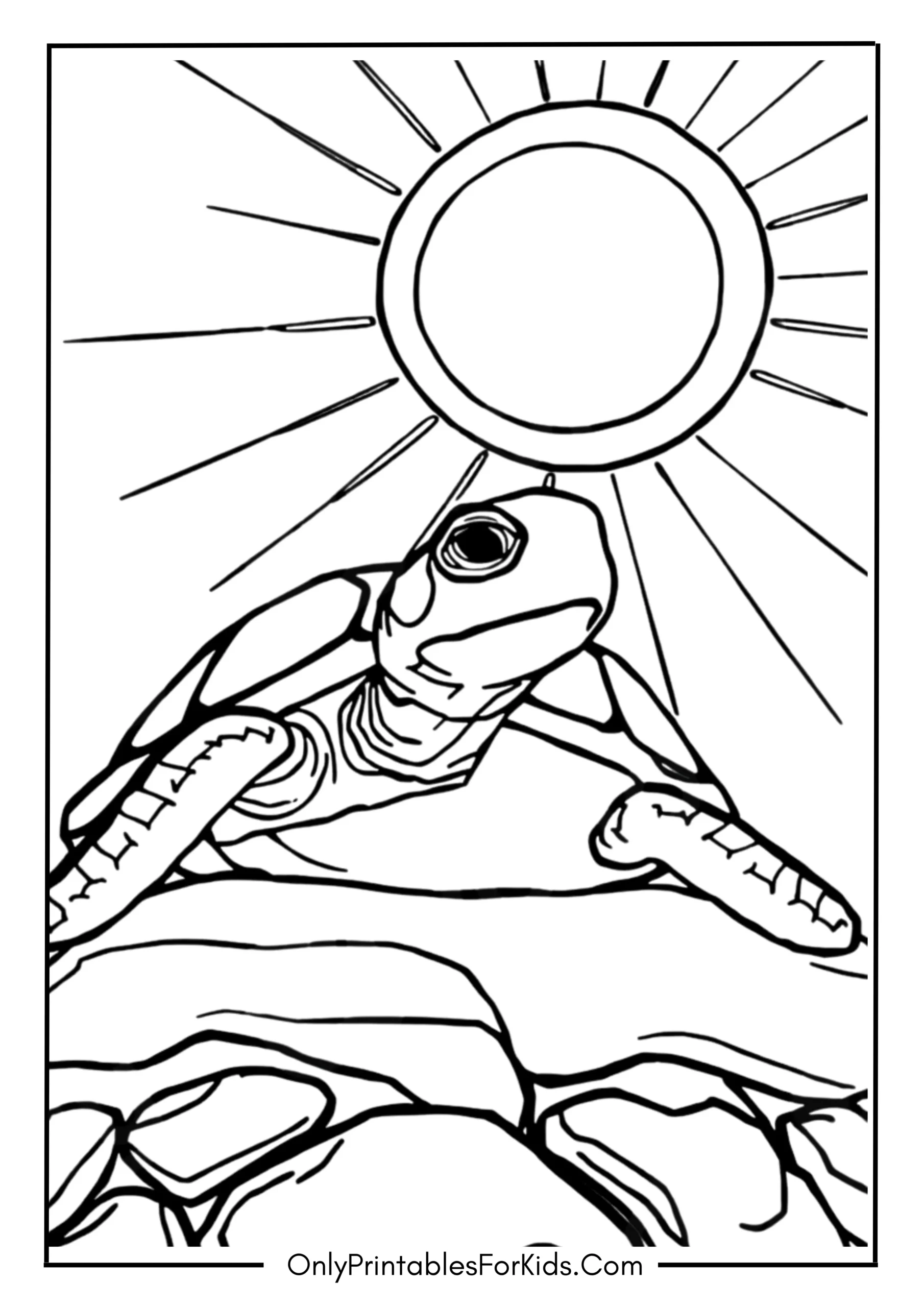 Realistic Turtle Resting on a Rock