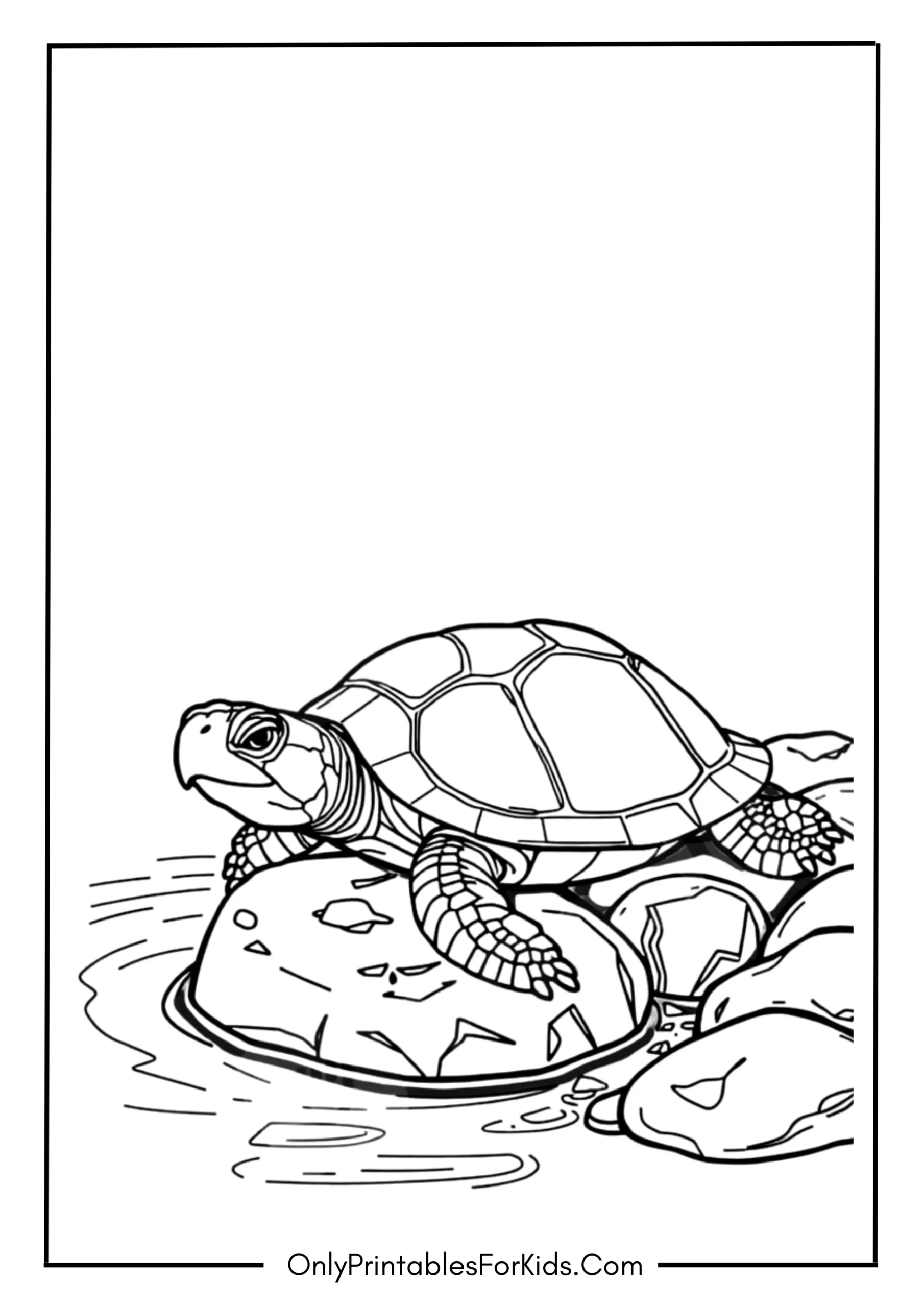Realistic Turtle in a Rocky Landscape
