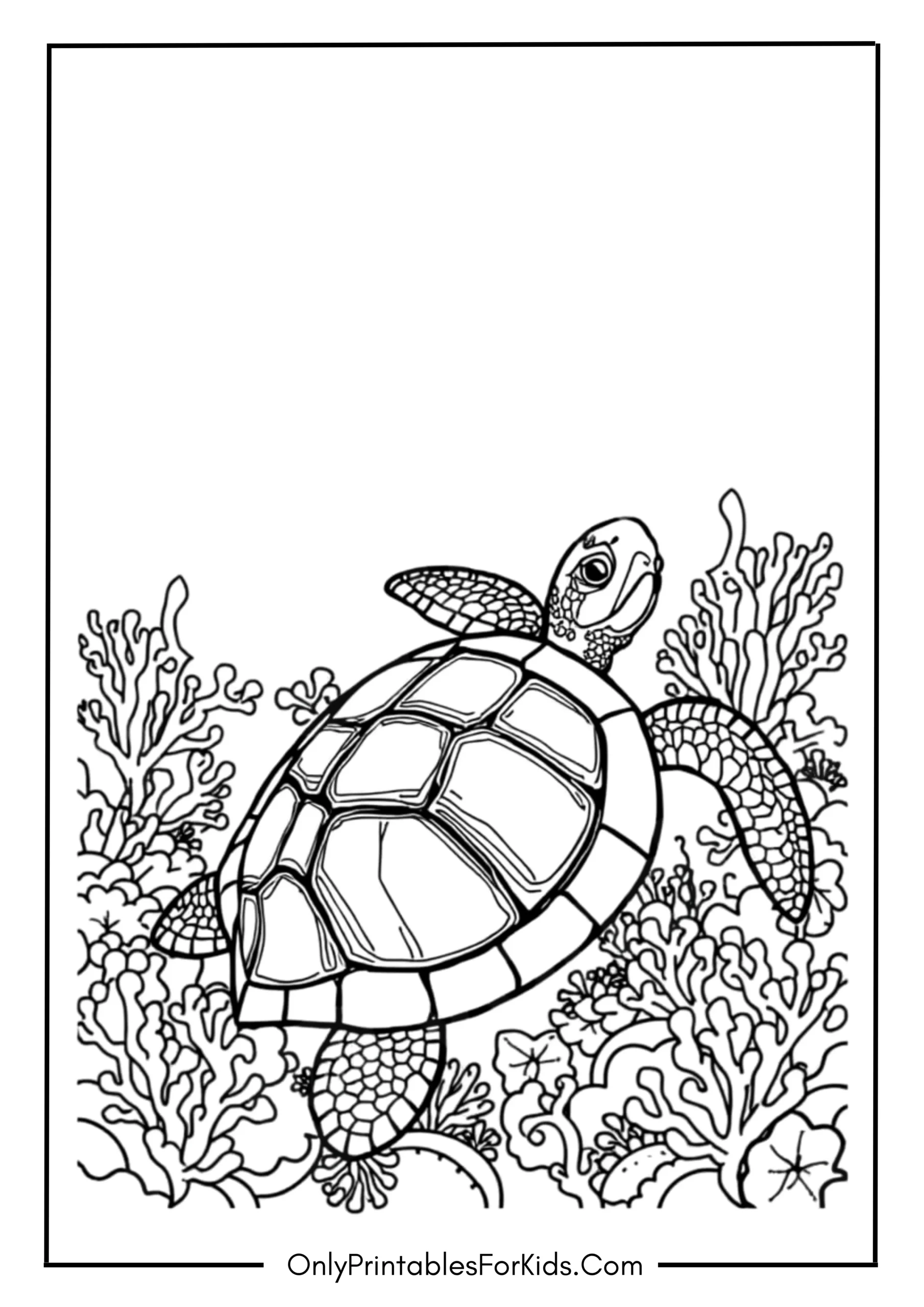 Realistic Turtle with Coral Details