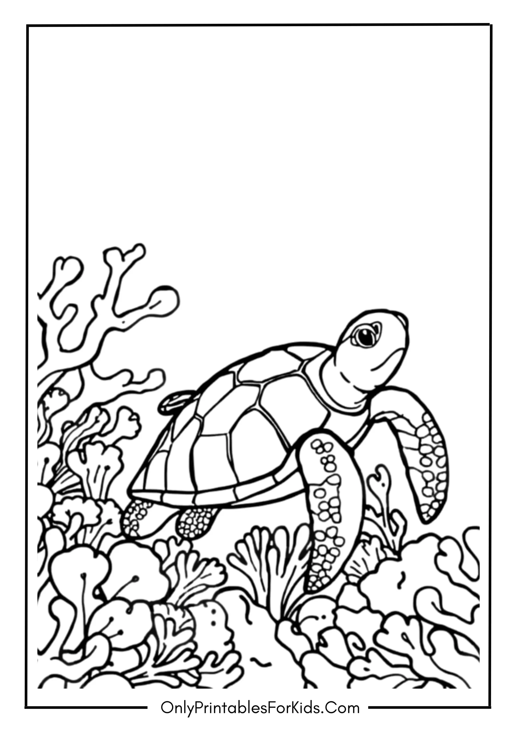 Sea Turtle Swimming Through Coral