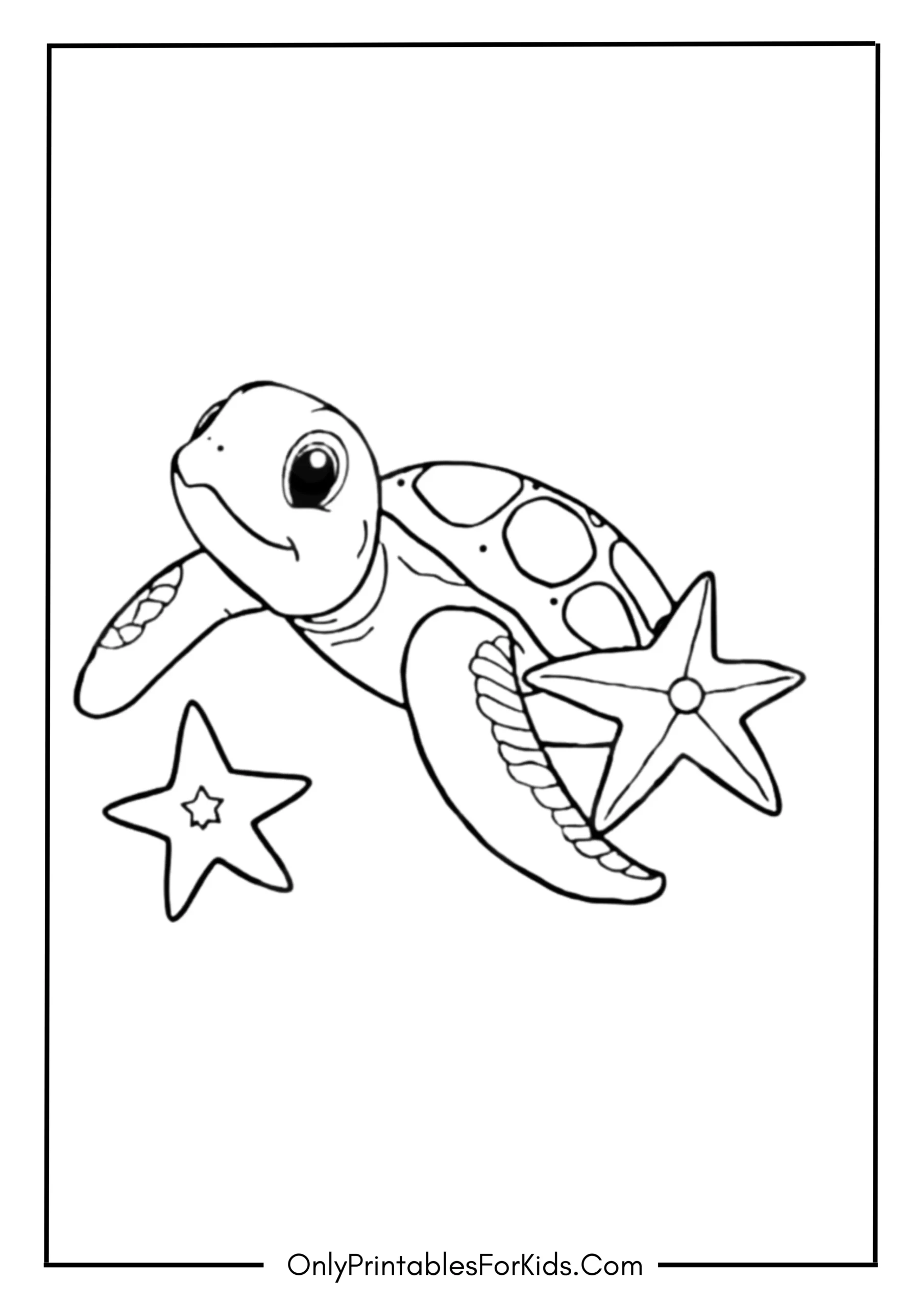 Sea Turtle with a Starfish Friend