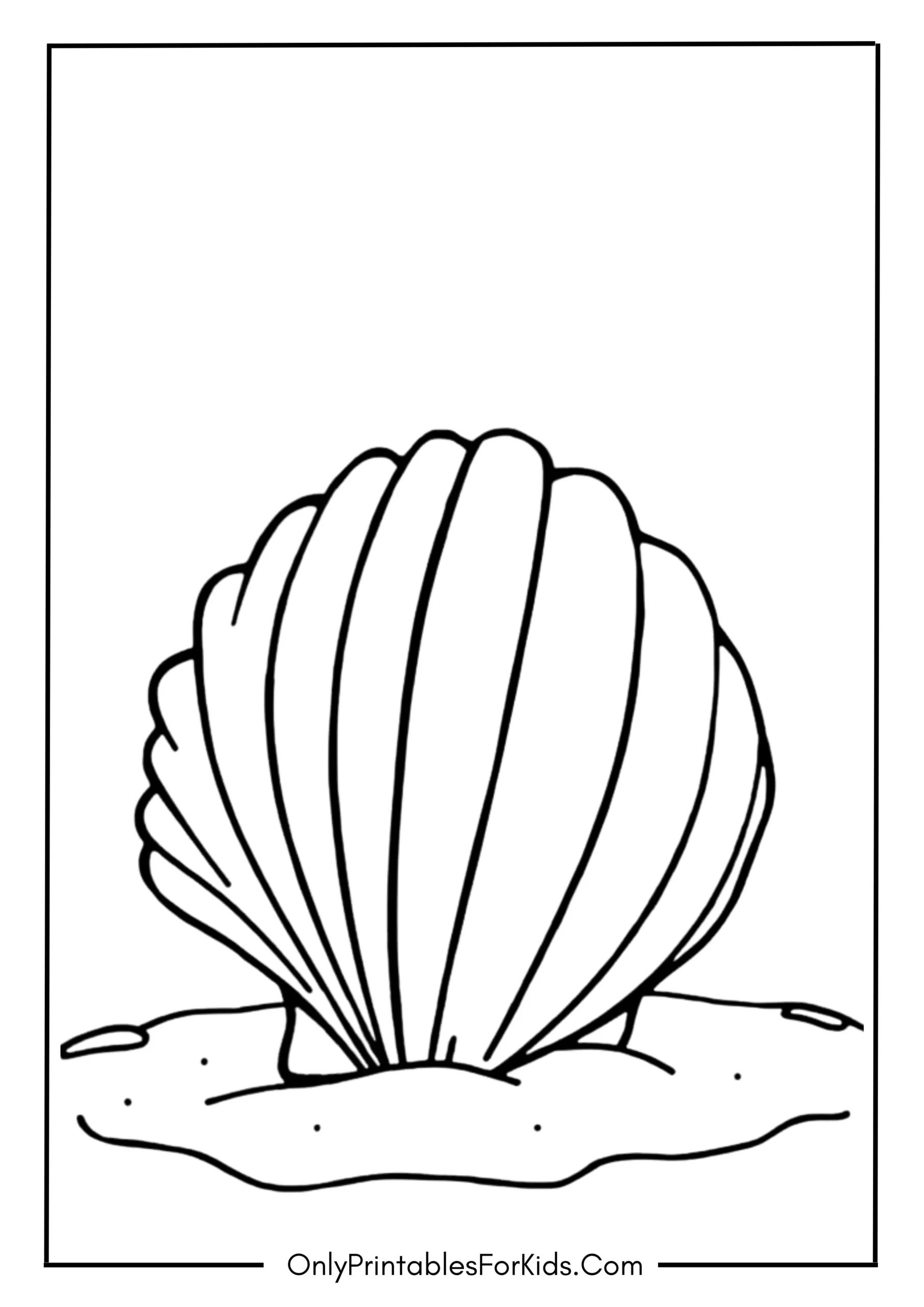 Simple Seashell