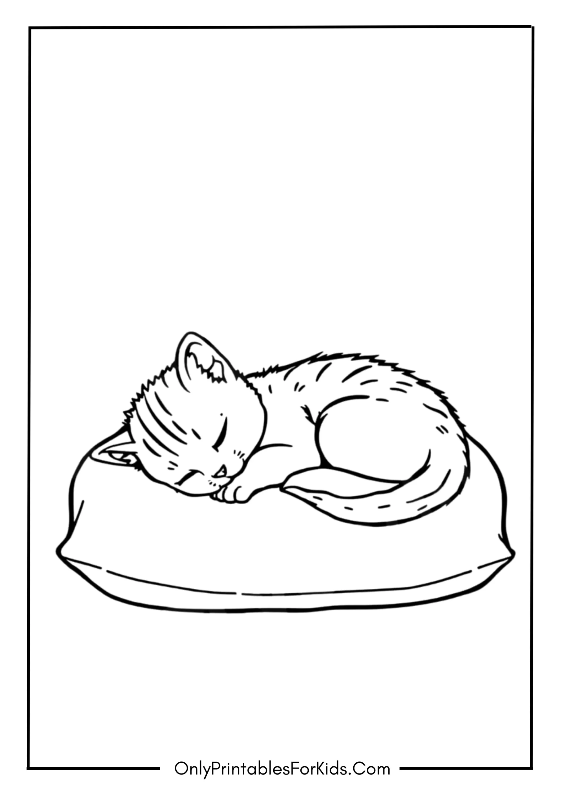 Sleeping Kitten on a Fluffy Pillow