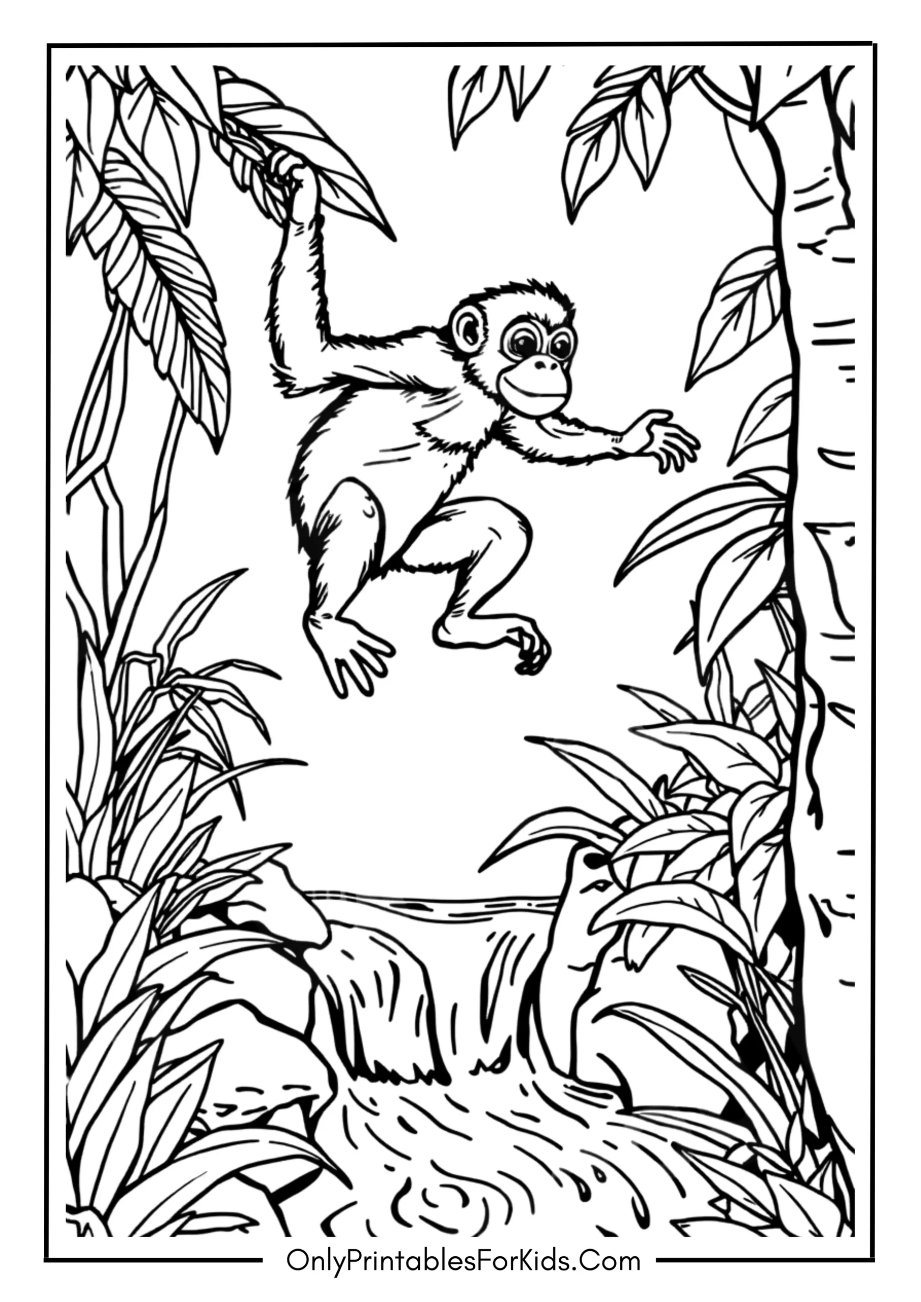 Spider Monkey Jumping Over a Stream