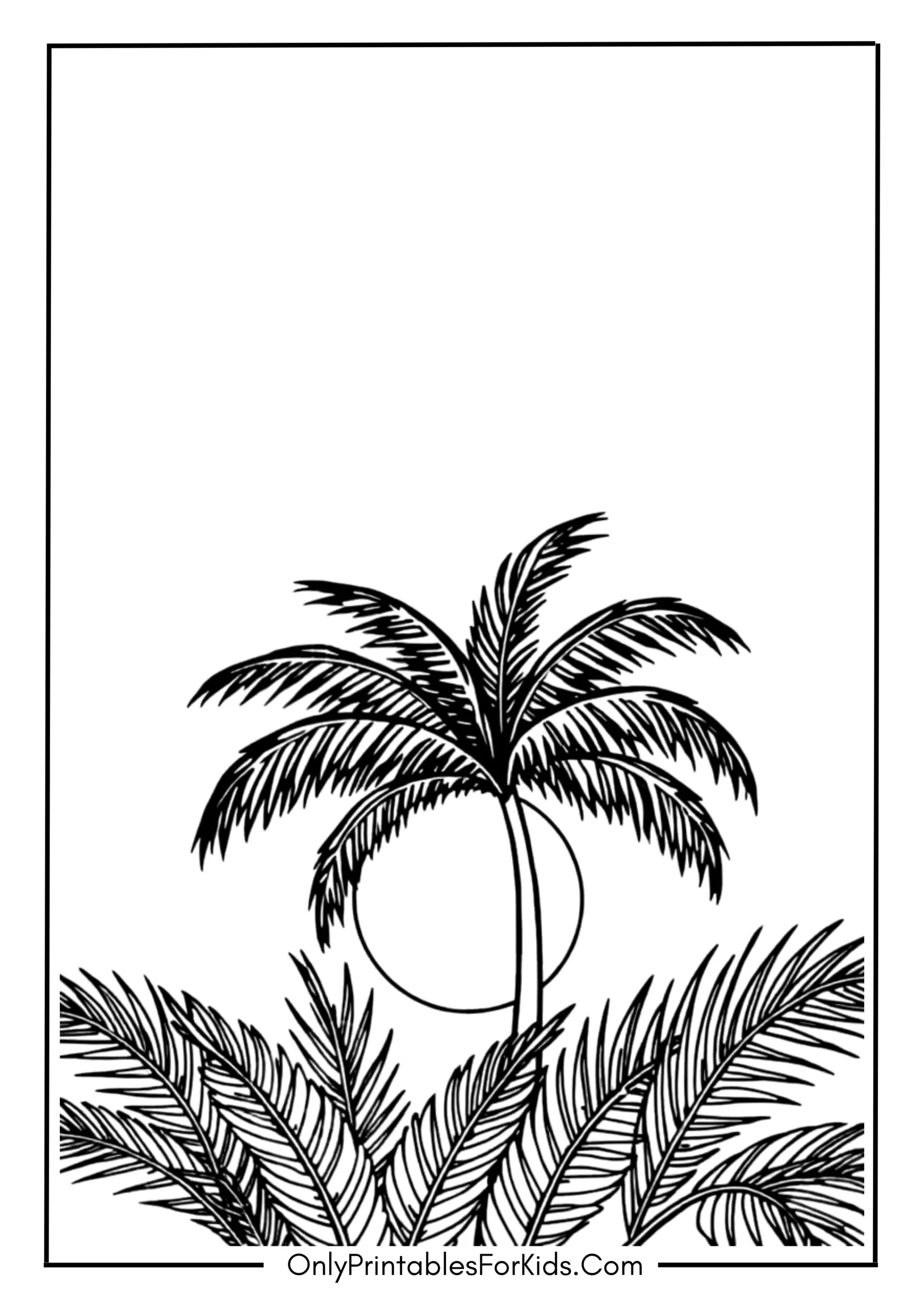 Sun Behind the Palms