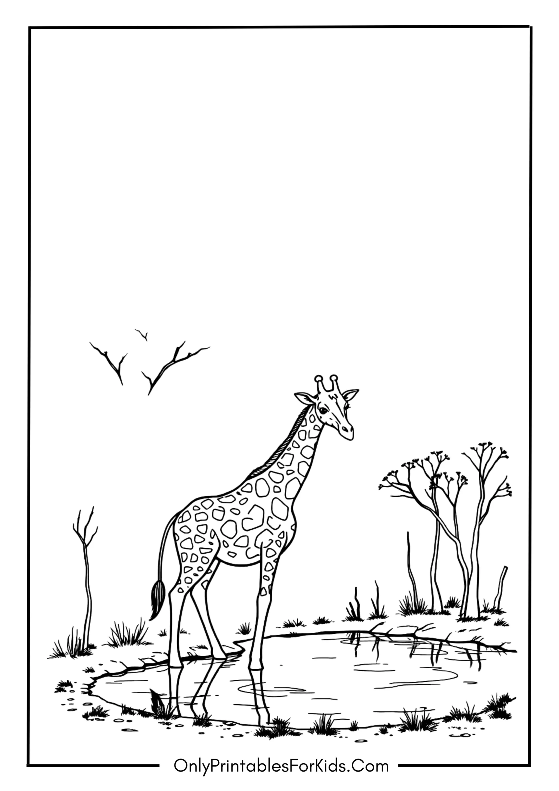 A Calm Giraffe Near a Watering Hole