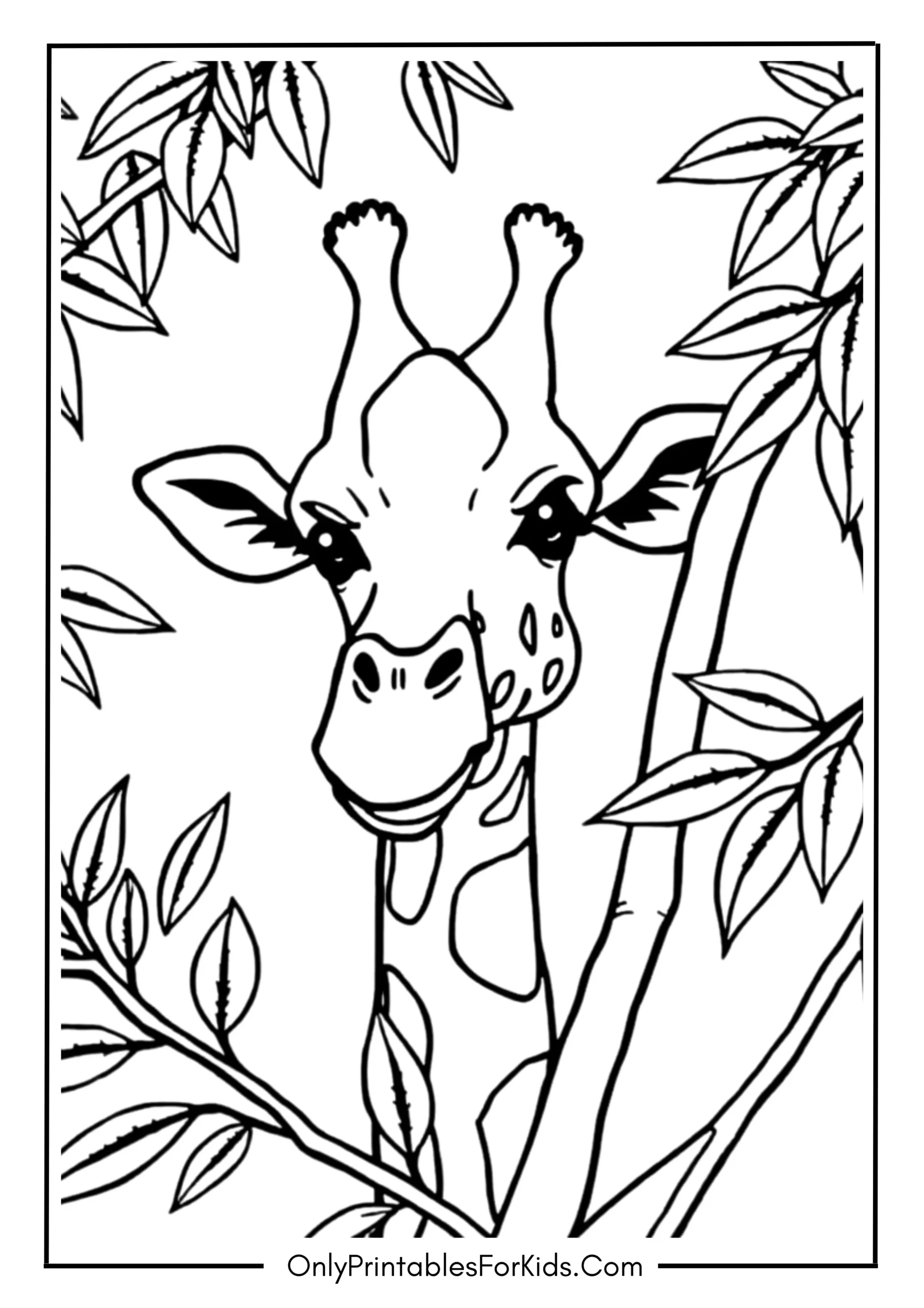 A Curious Giraffe Peeking Through the Trees