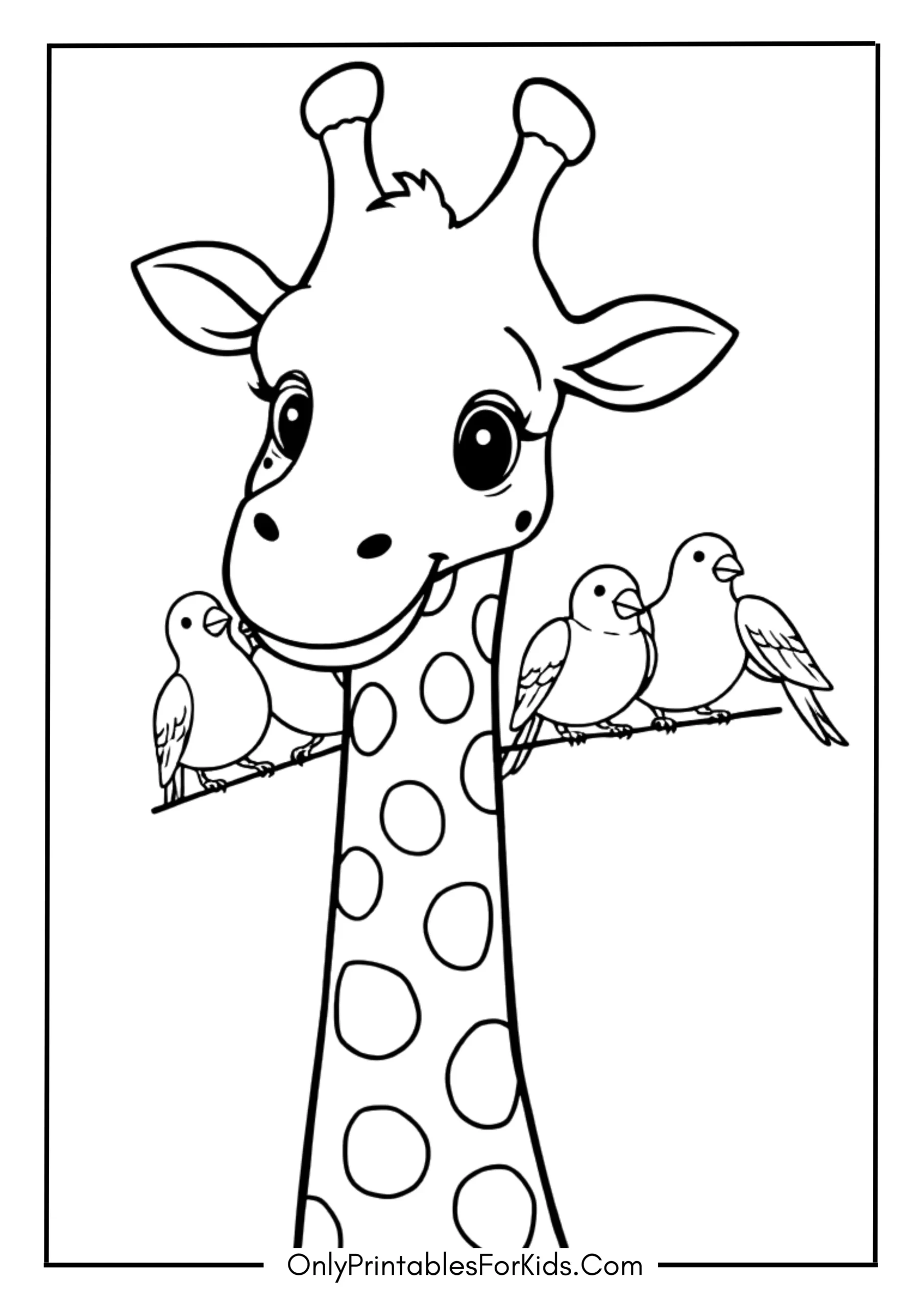 A Giraffe with Birds on Its Back