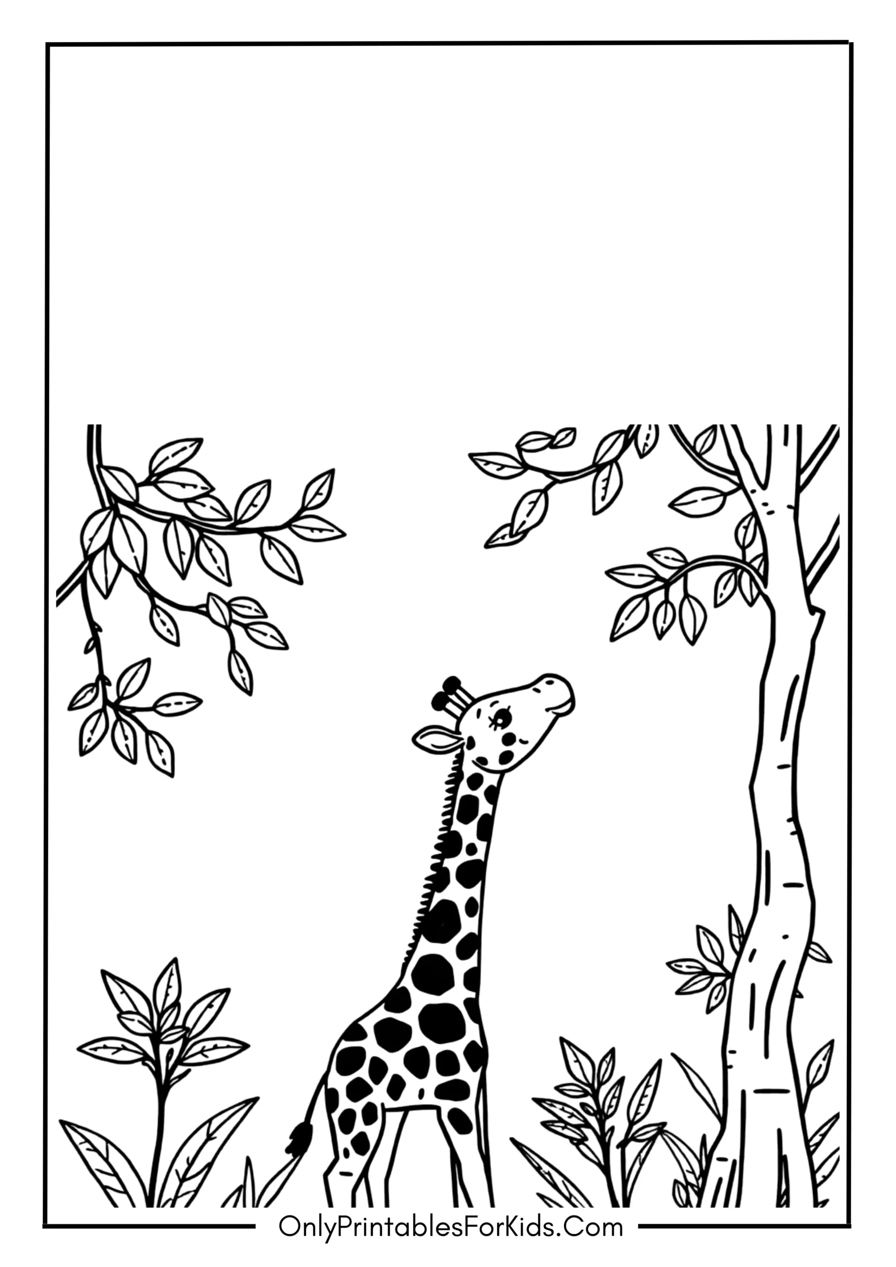 Baby Giraffe Stretching its Neck