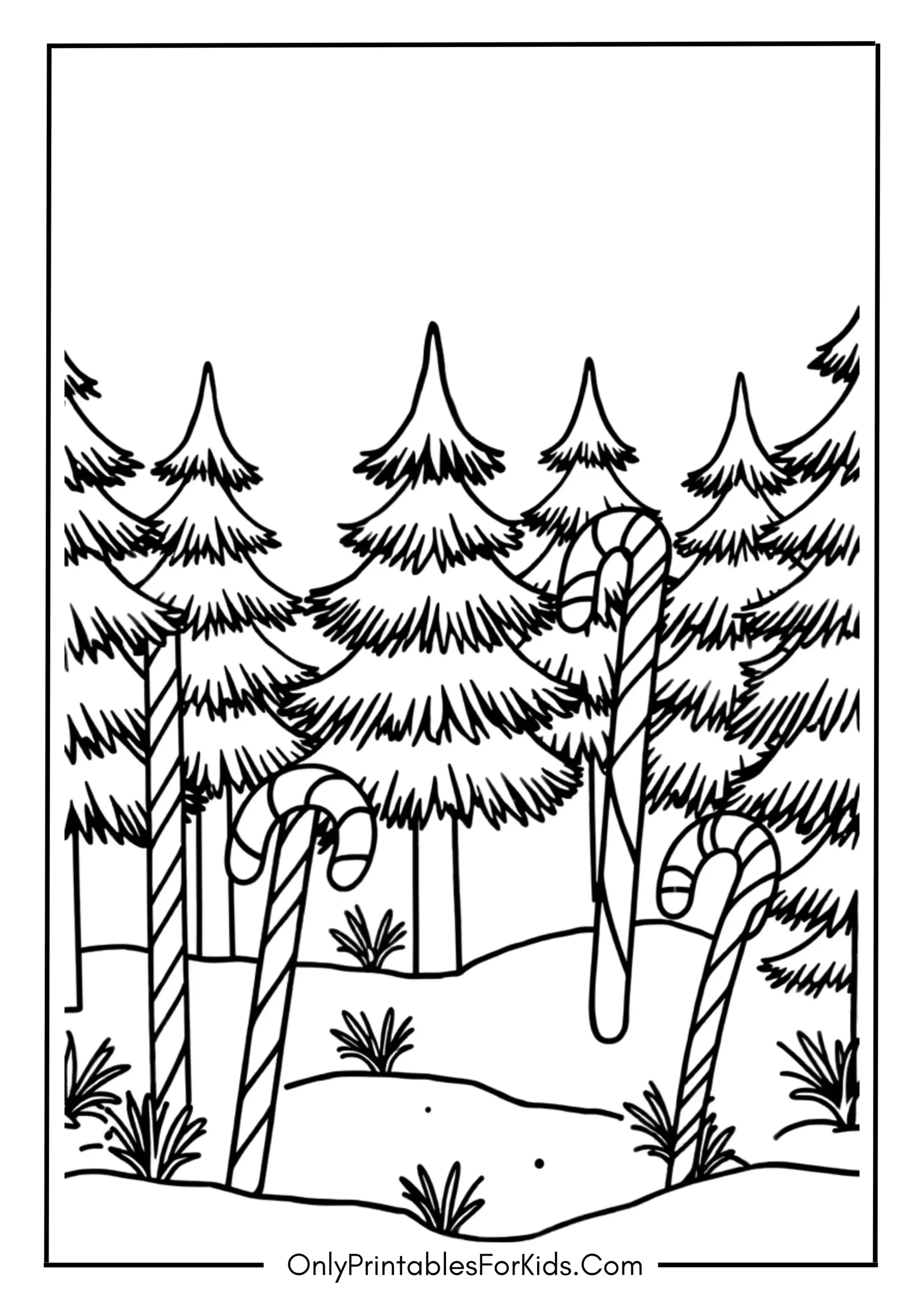 Candy Cane Forest Adventures