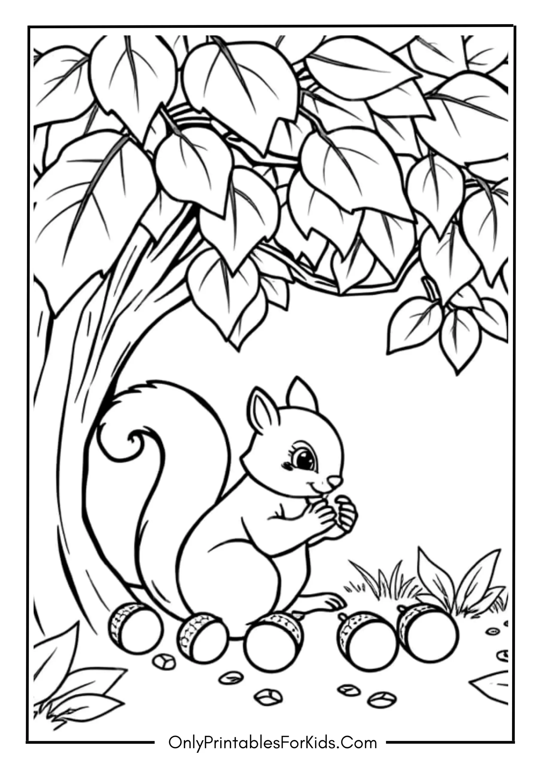 Cute Squirrel Collecting Acorns