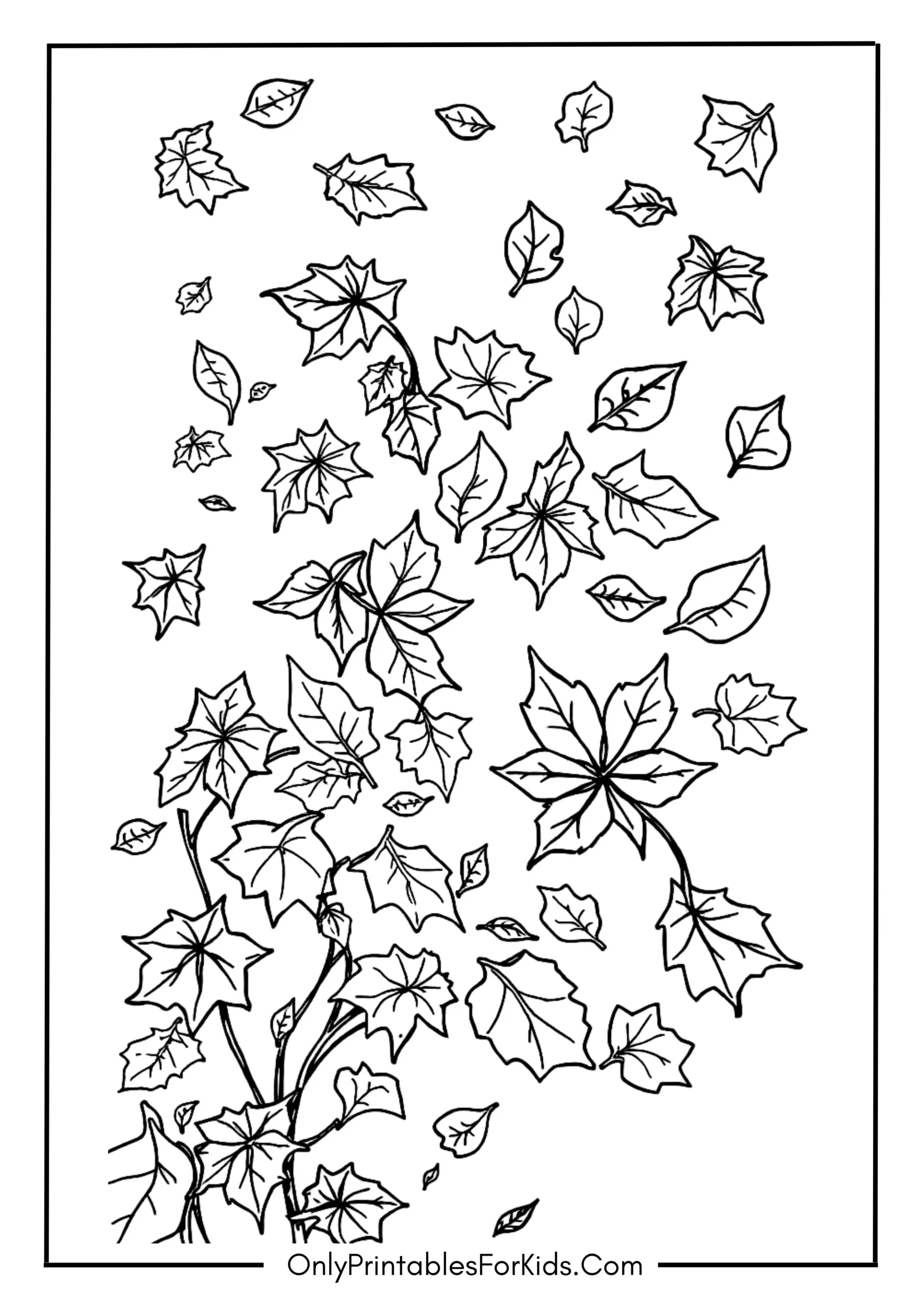 Falling Autumn Leaves in November Breeze