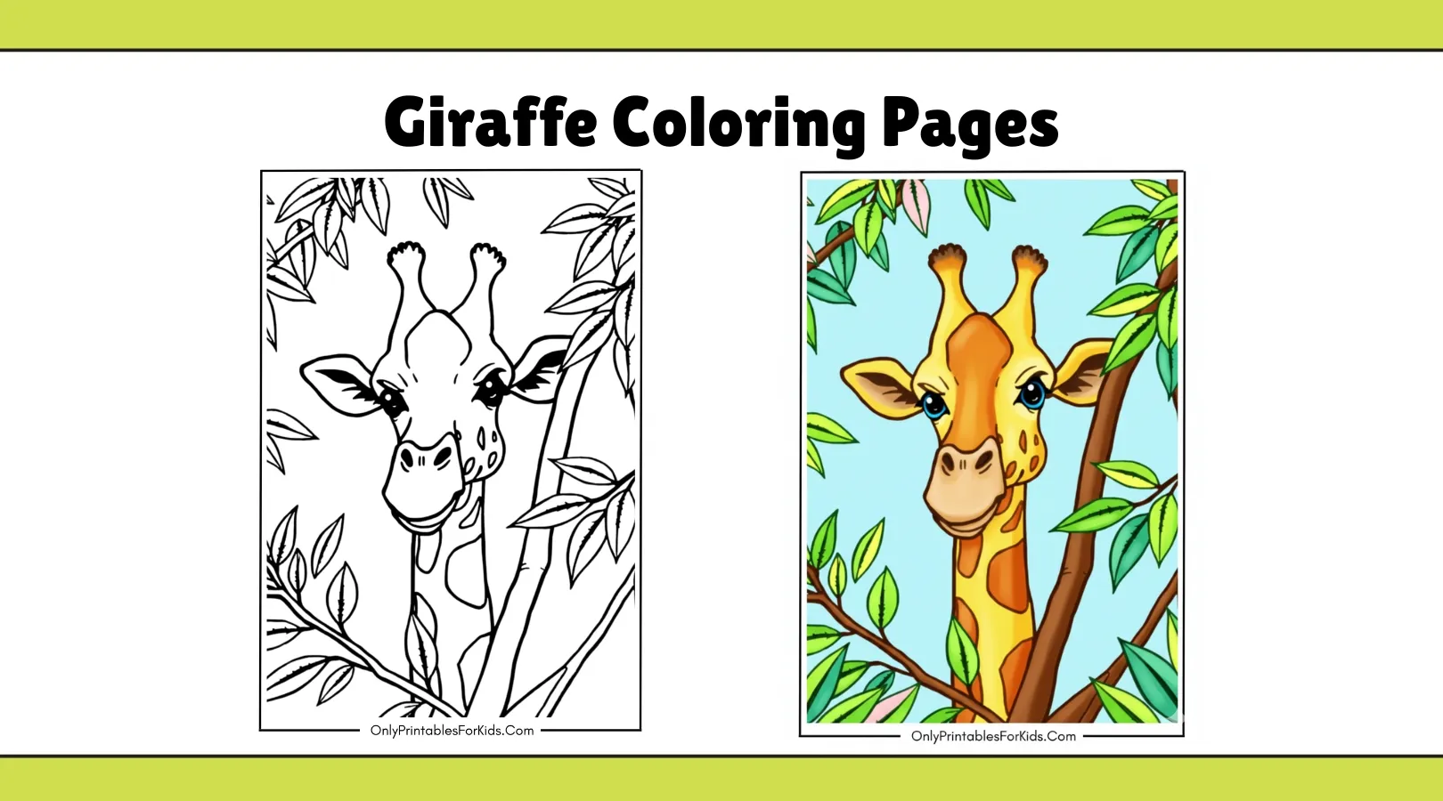 Giraffe Coloring Pages