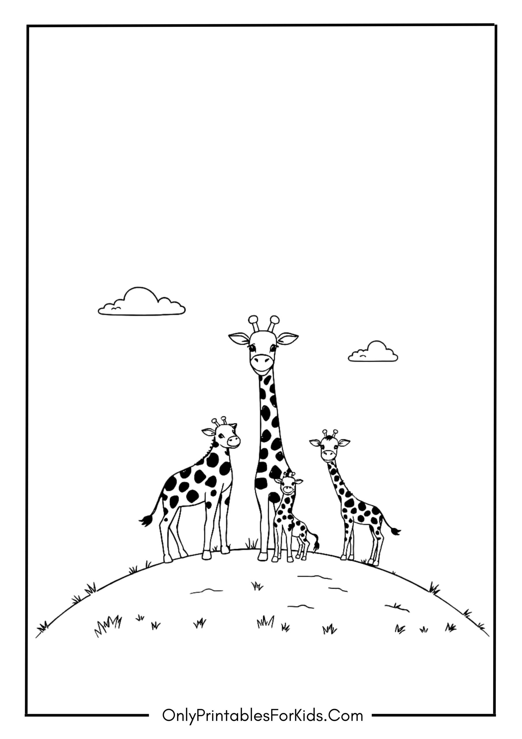 Giraffe Family Resting on a Hill