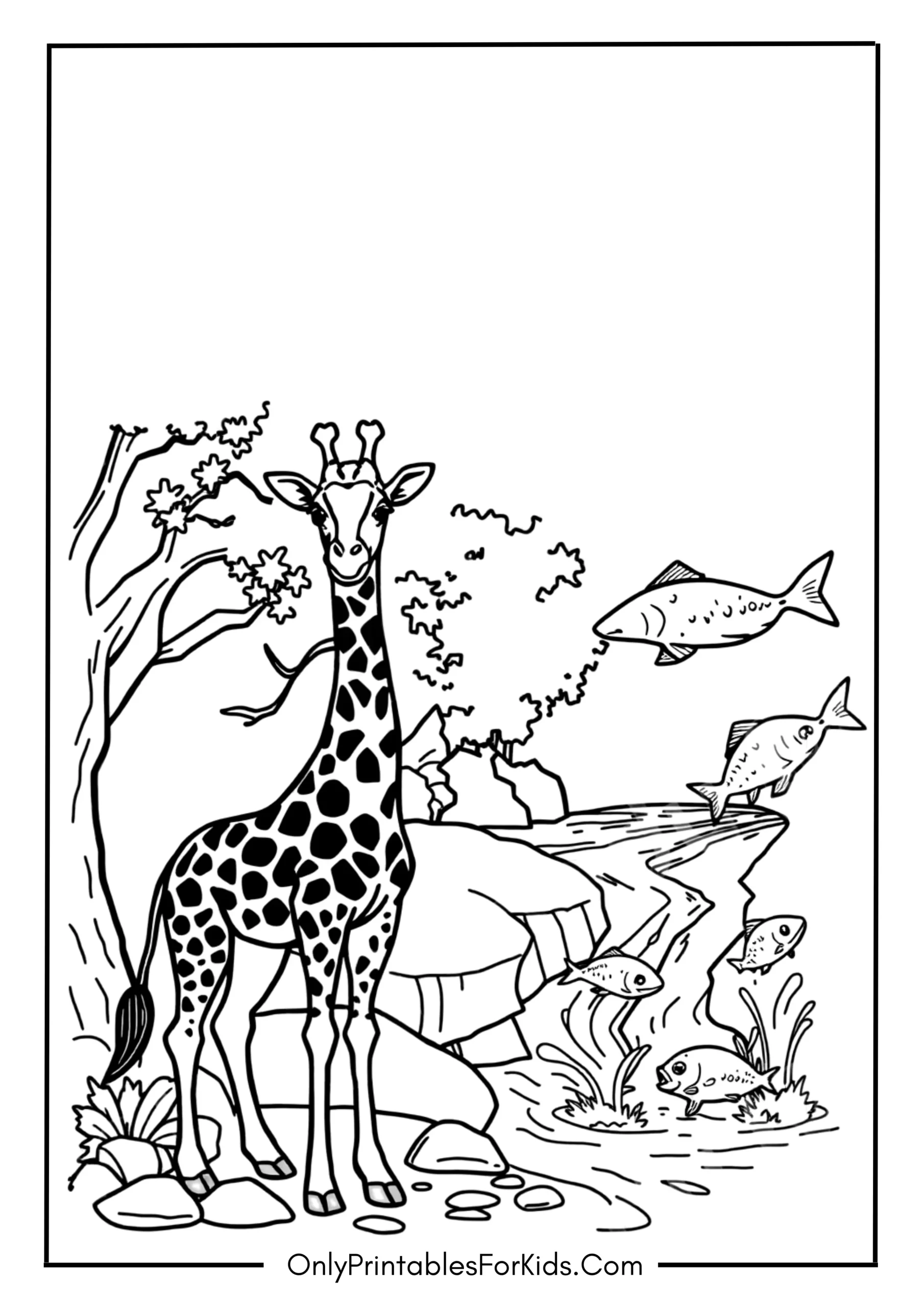 Giraffe Next to a River With Fish Jumping